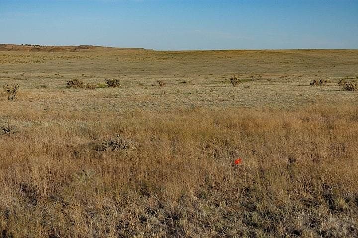 LOT 216 Colorado Land And Livestock Walsenburg, CO 81089 - Thumbnail 3