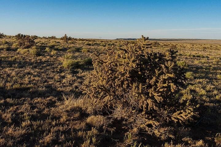 216 Cl&l #F Walsenburg, CO 81089 - Thumbnail 3