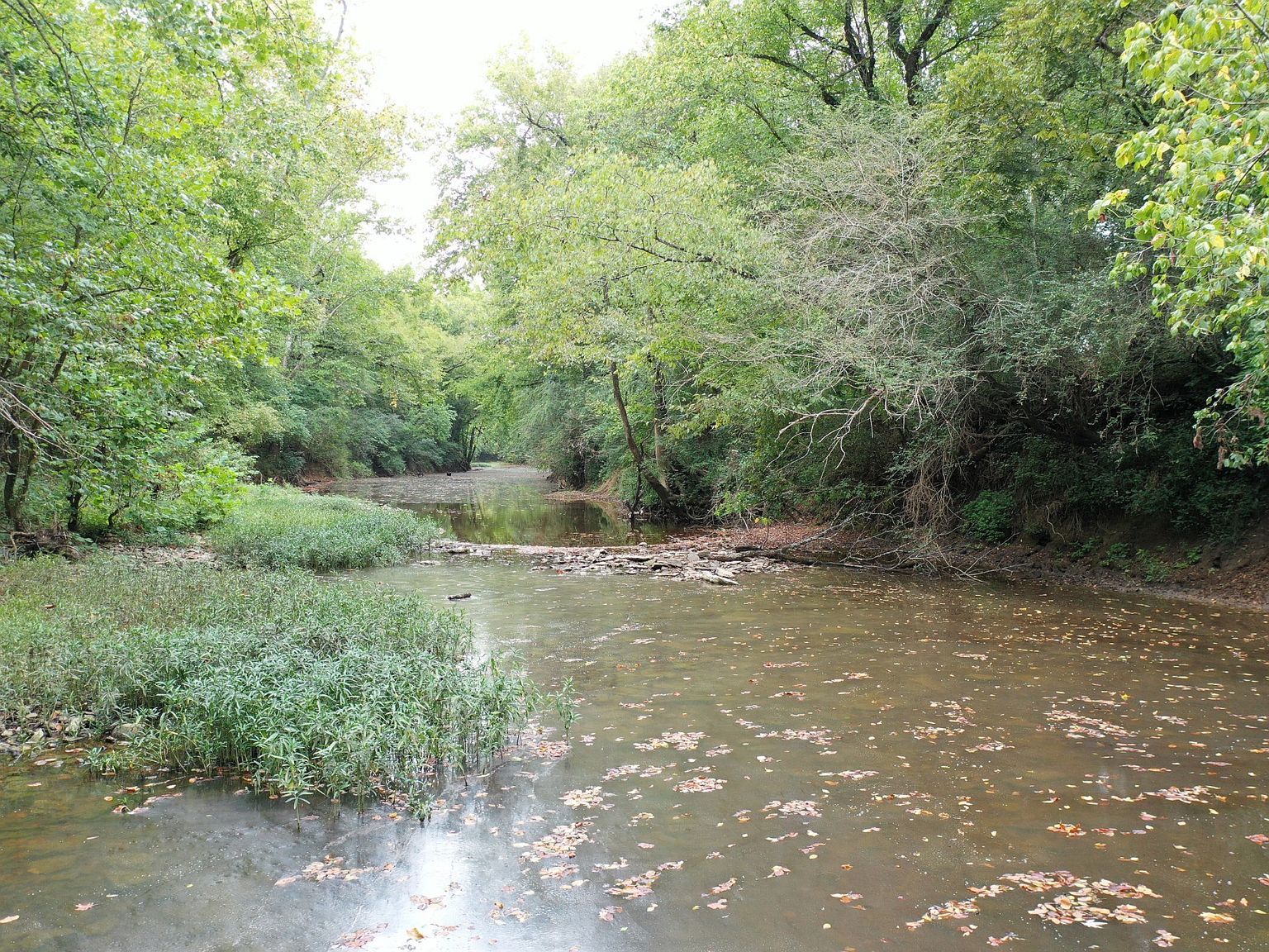 120 March Mill Rd Fayetteville, TN 37334 - Thumbnail 3