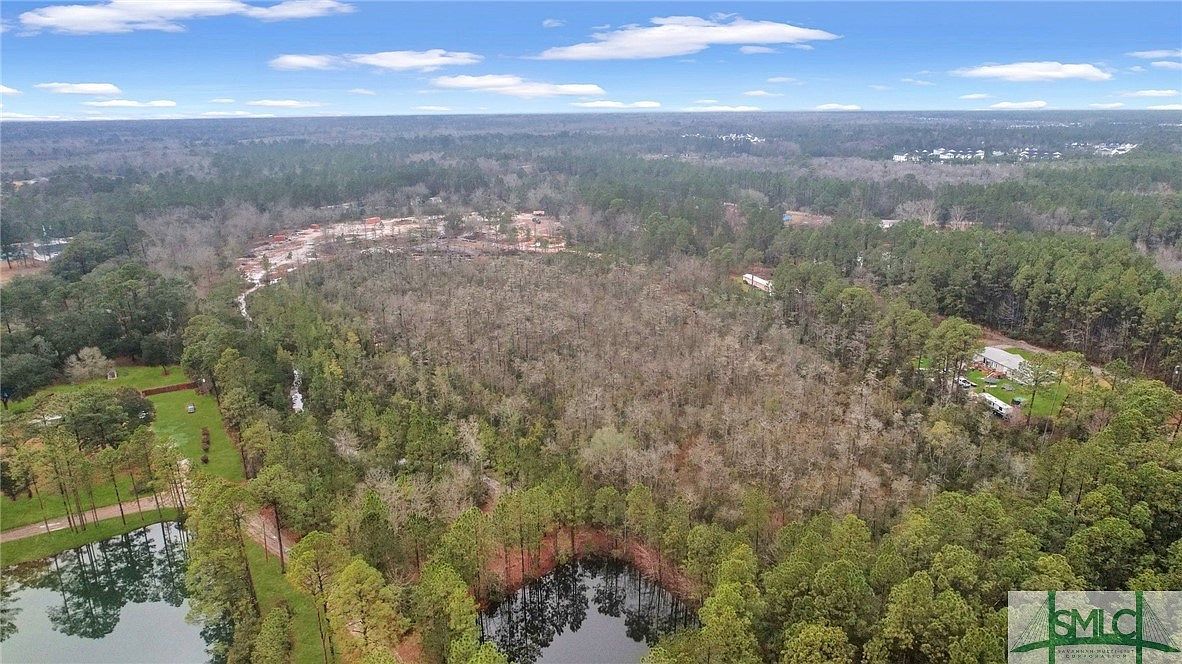 0 Curtis Rd Hinesville, GA 31313 - Thumbnail 3