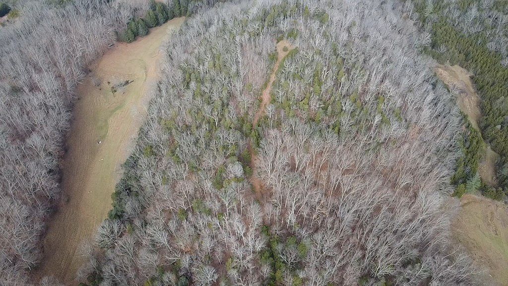 Hickory Dr Pounding Mill, VA 24637 - Thumbnail 3