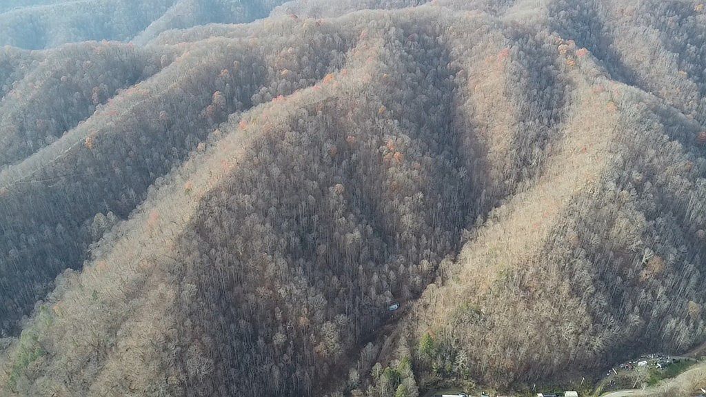 1067 Red Dog Rd Grundy, VA 24614 - Thumbnail 3