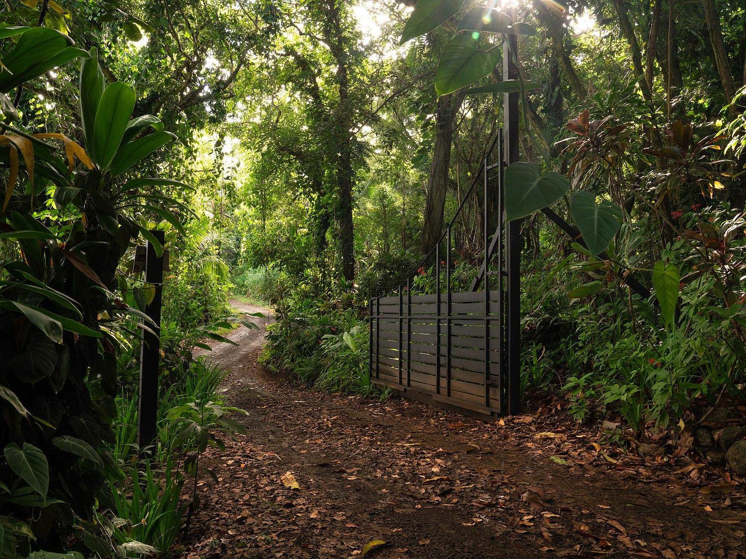 715 N Honokala Rd Haiku, HI 96708 - Thumbnail 3