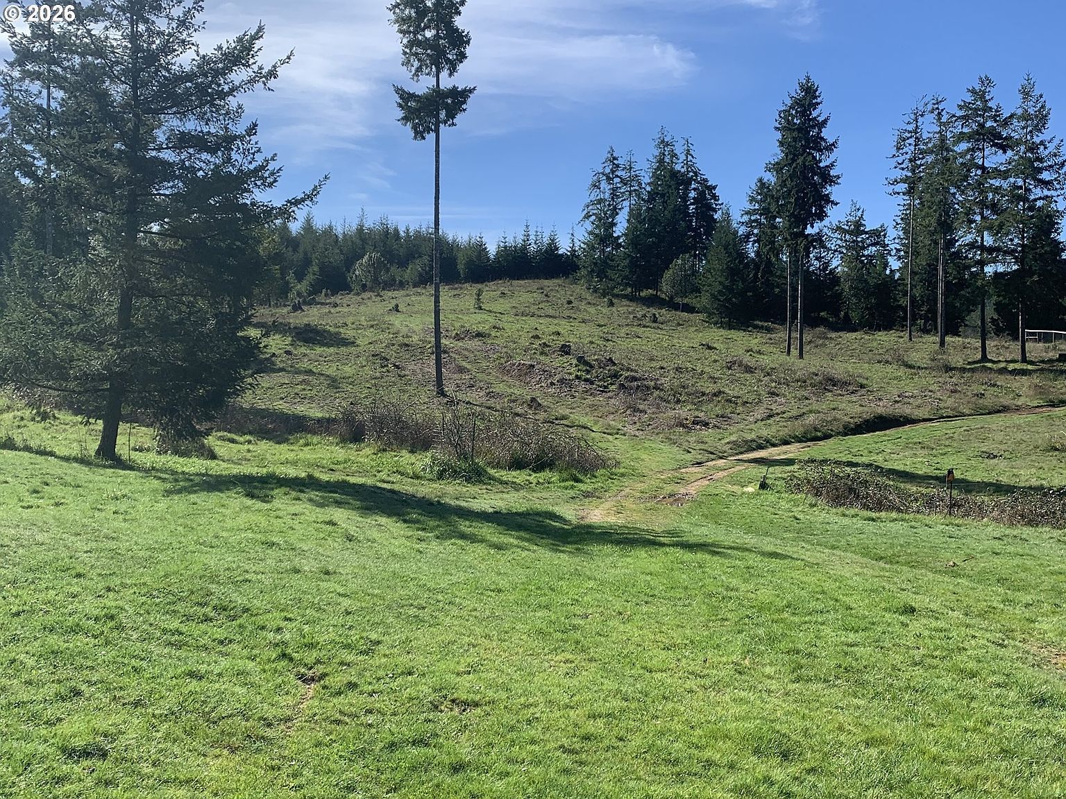 54885 Arago Fishtrap Rd Myrtle Point, OR 97458 - Thumbnail 3