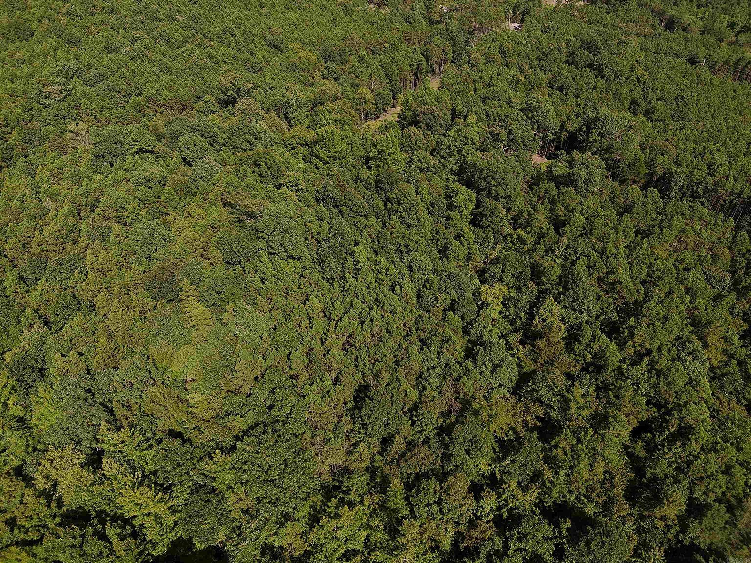 18 Polk Rd #78 Mena, AR 71953 - Thumbnail 3