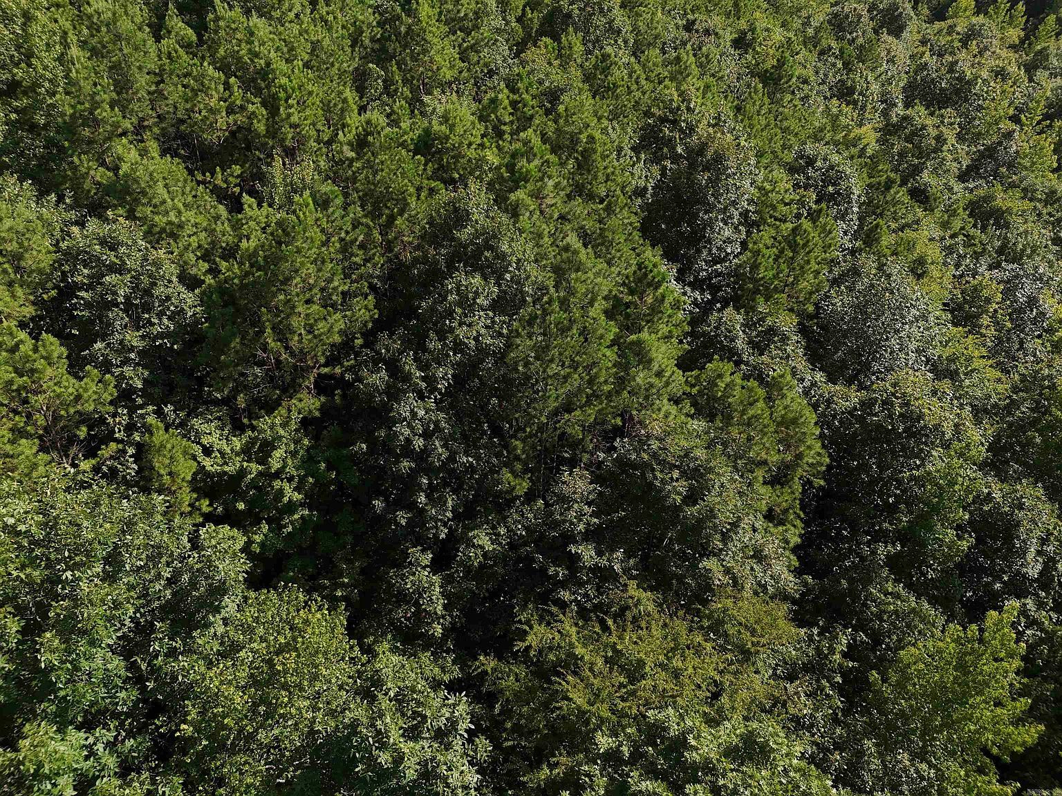 17 Polk Rd #78 Mena, AR 71953 - Thumbnail 3