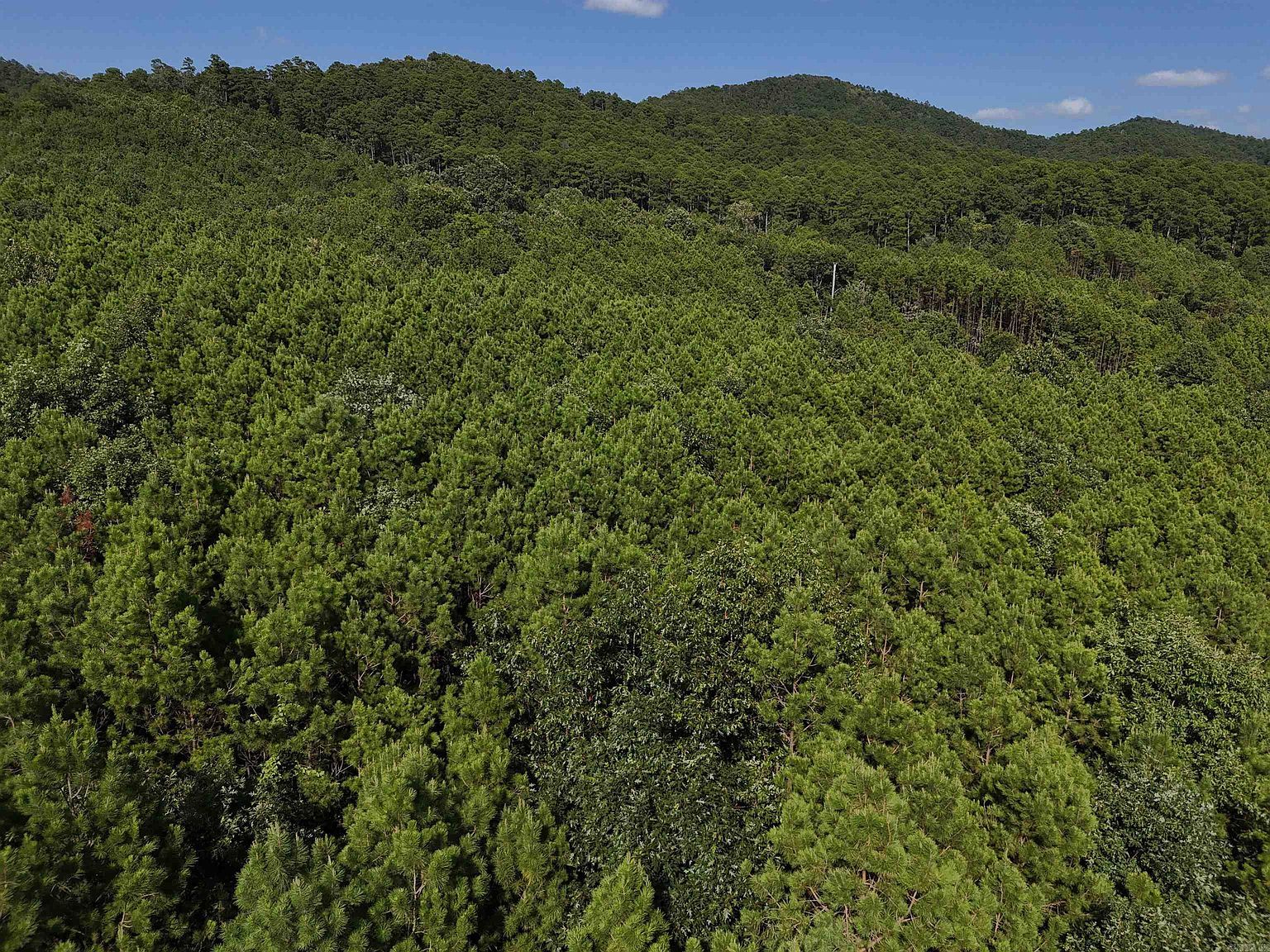 14 Polk Rd #78 Mena, AR 71953 - Thumbnail 3