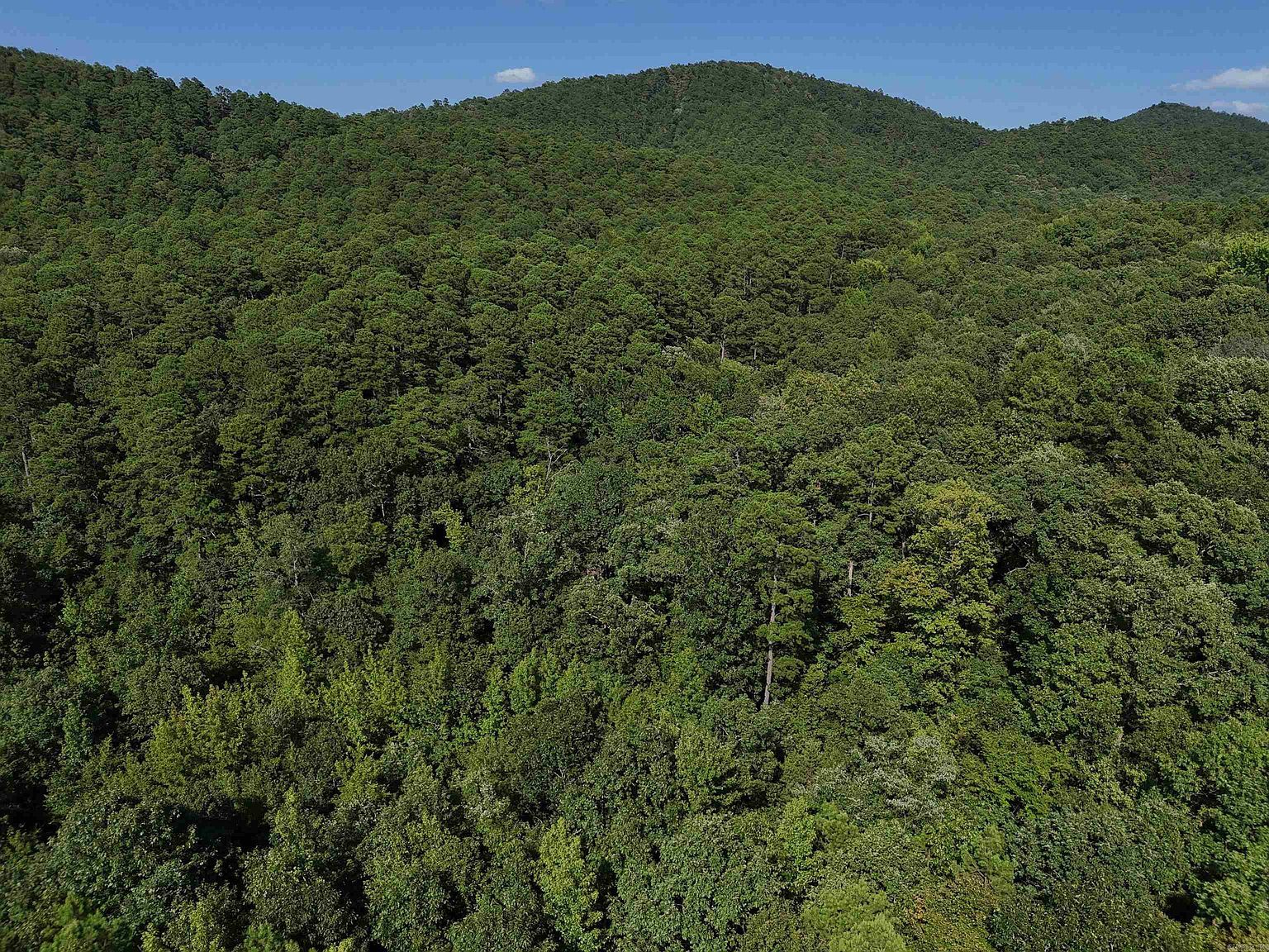 13 Polk Rd #78 Mena, AR 71953 - Thumbnail 3