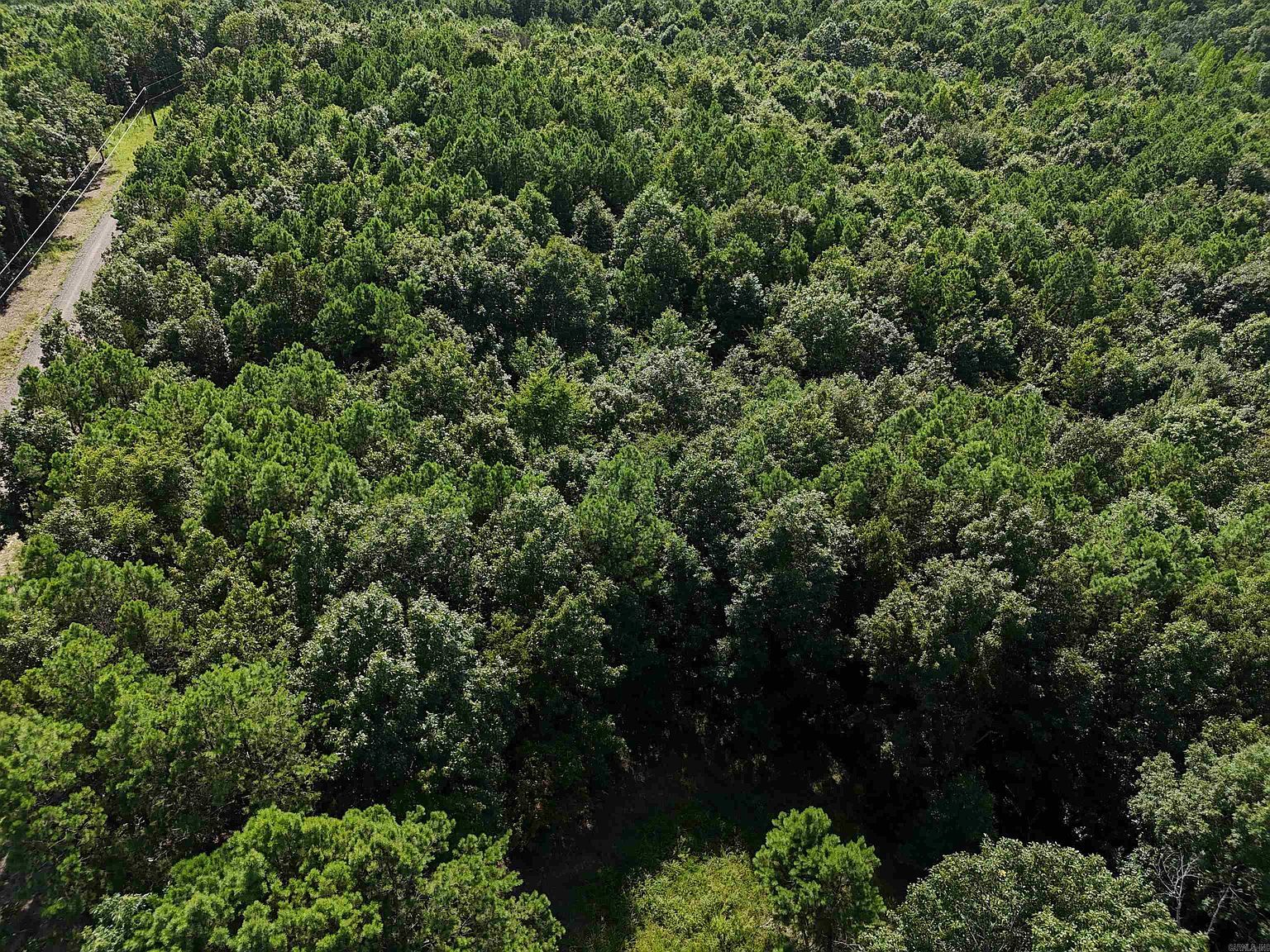 12 Polk Rd #78 Mena, AR 71953 - Thumbnail 3