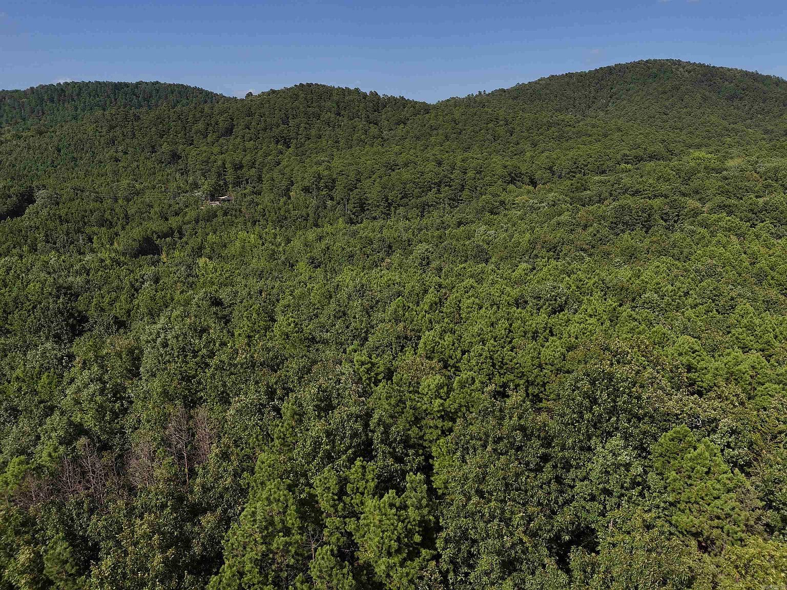 11 Polk Rd #78 Mena, AR 71953 - Thumbnail 3