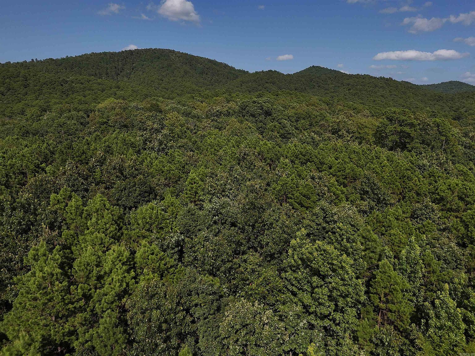 8 Polk Rd #78 Mena, AR 71953 - Thumbnail 3