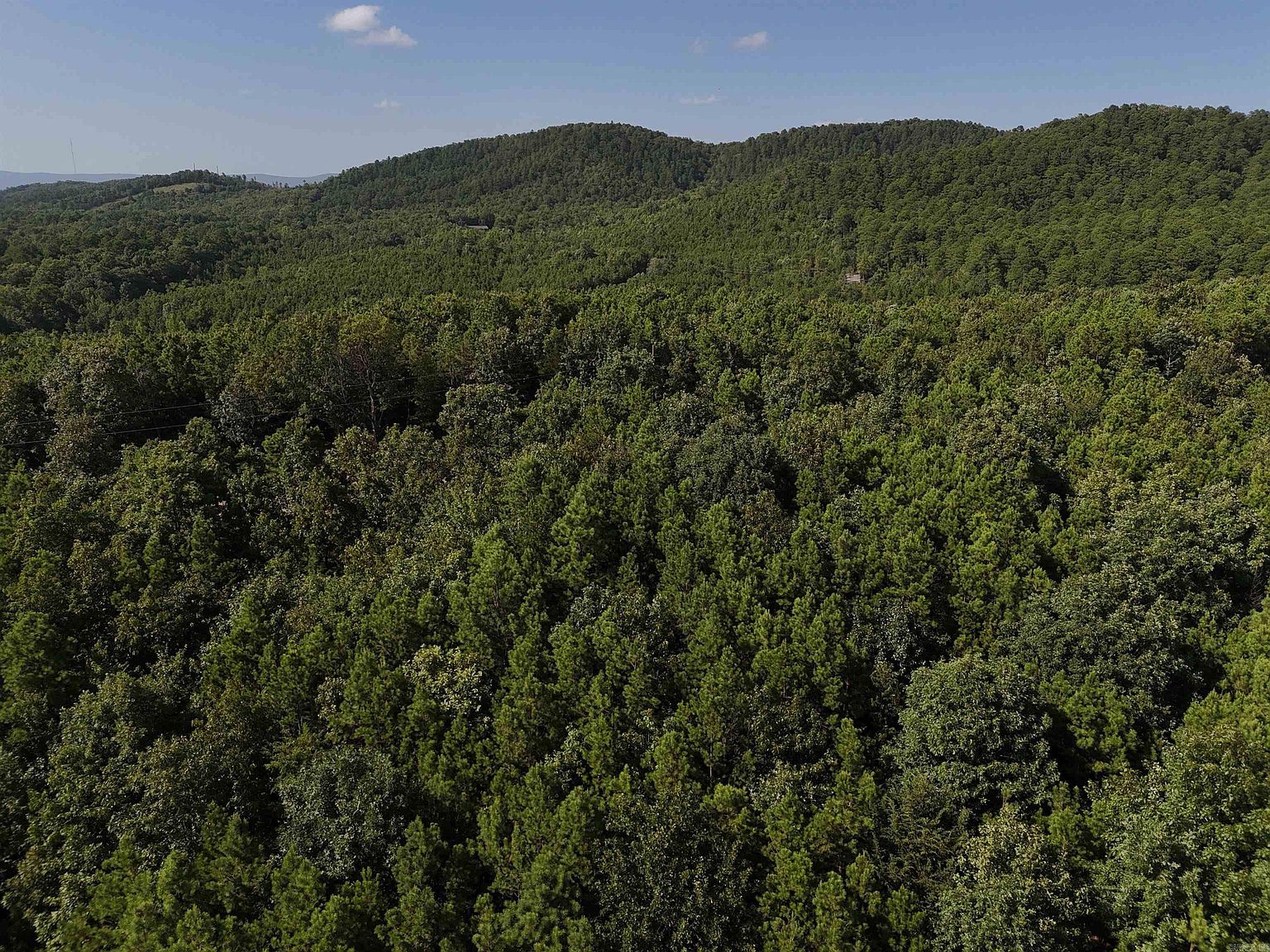 7 Polk Rd #78 Mena, AR 71953 - Thumbnail 3