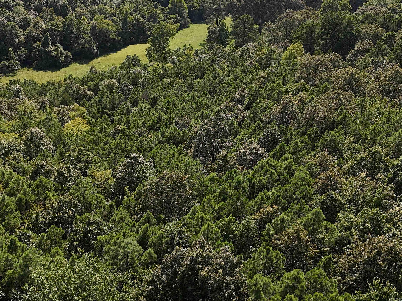 1 Polk Rd #78 Mena, AR 71953 - Thumbnail 3