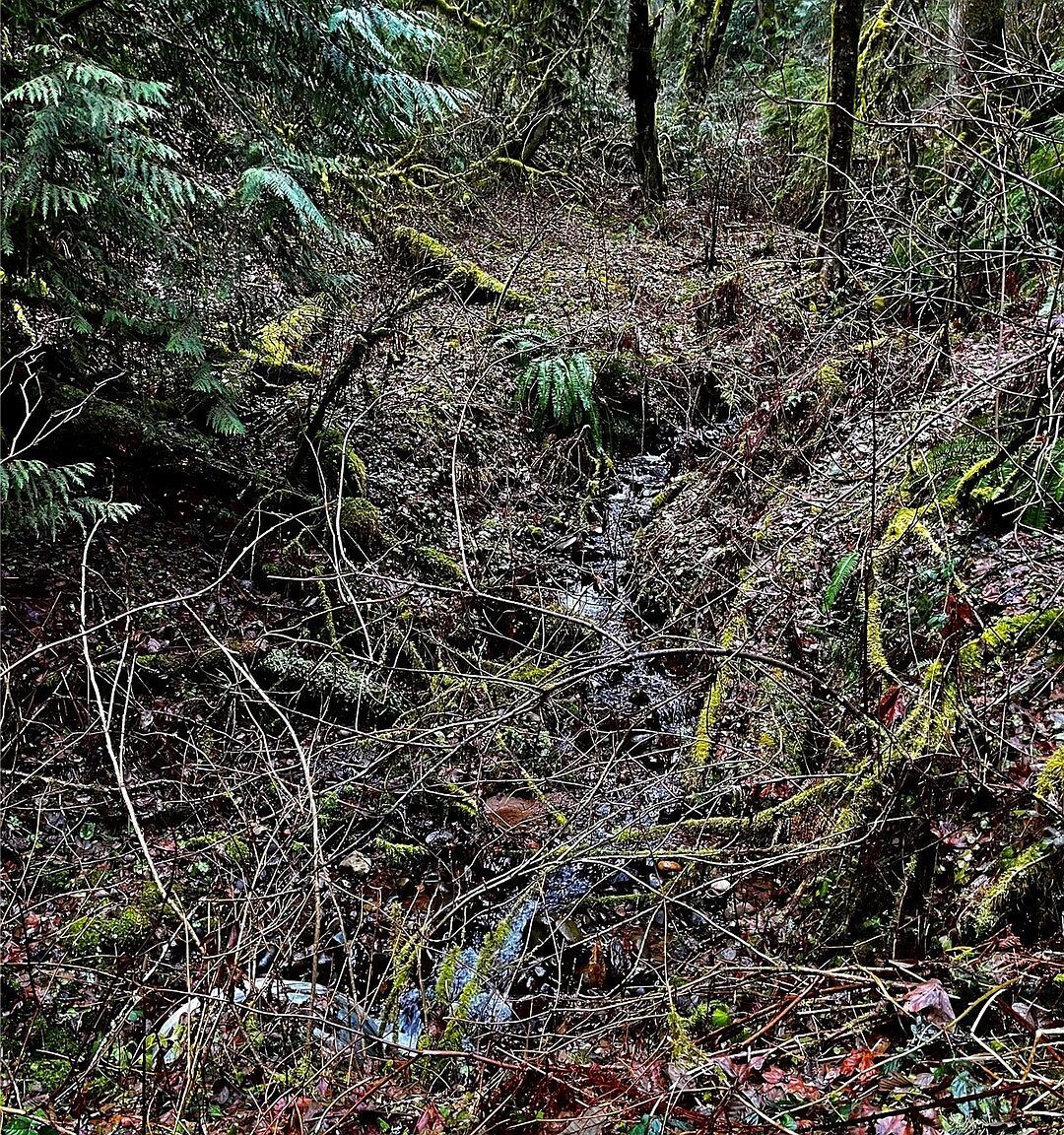 0 Wildlife Dr Washougal, WA 98671 - Thumbnail 3