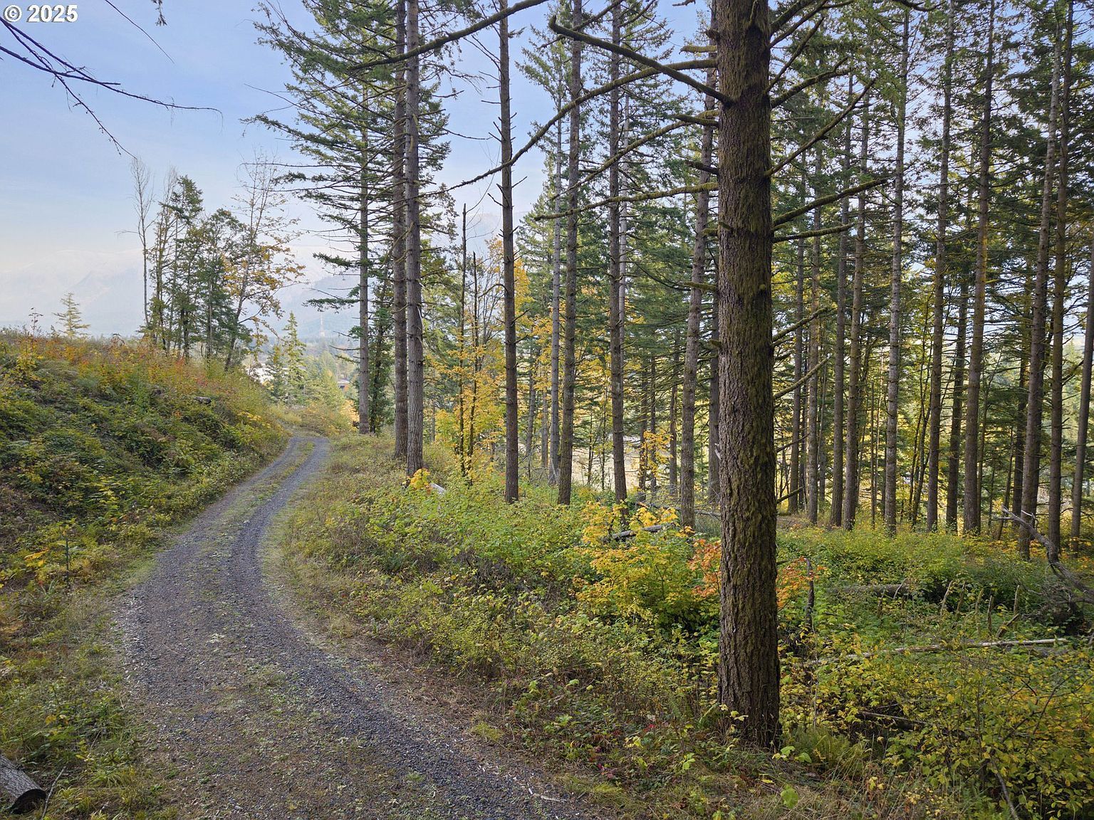 Warren Rd #4 North Bonneville, WA 98639 - Thumbnail 3