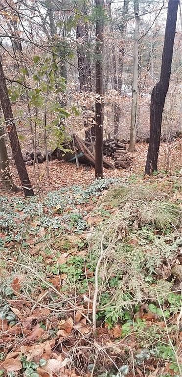 48 Gordon Ave Briarcliff Manor, NY 10510 - Thumbnail 3