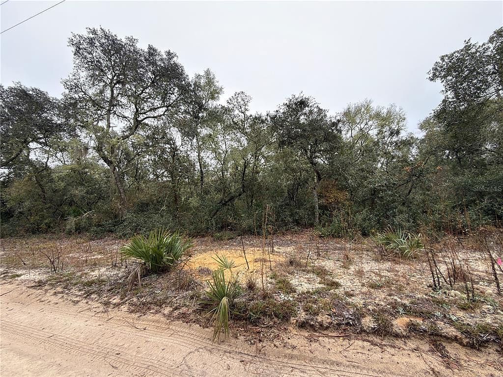 NE 234th Pl LOT 19 Fort Mc Coy, FL 32134 - Thumbnail 3