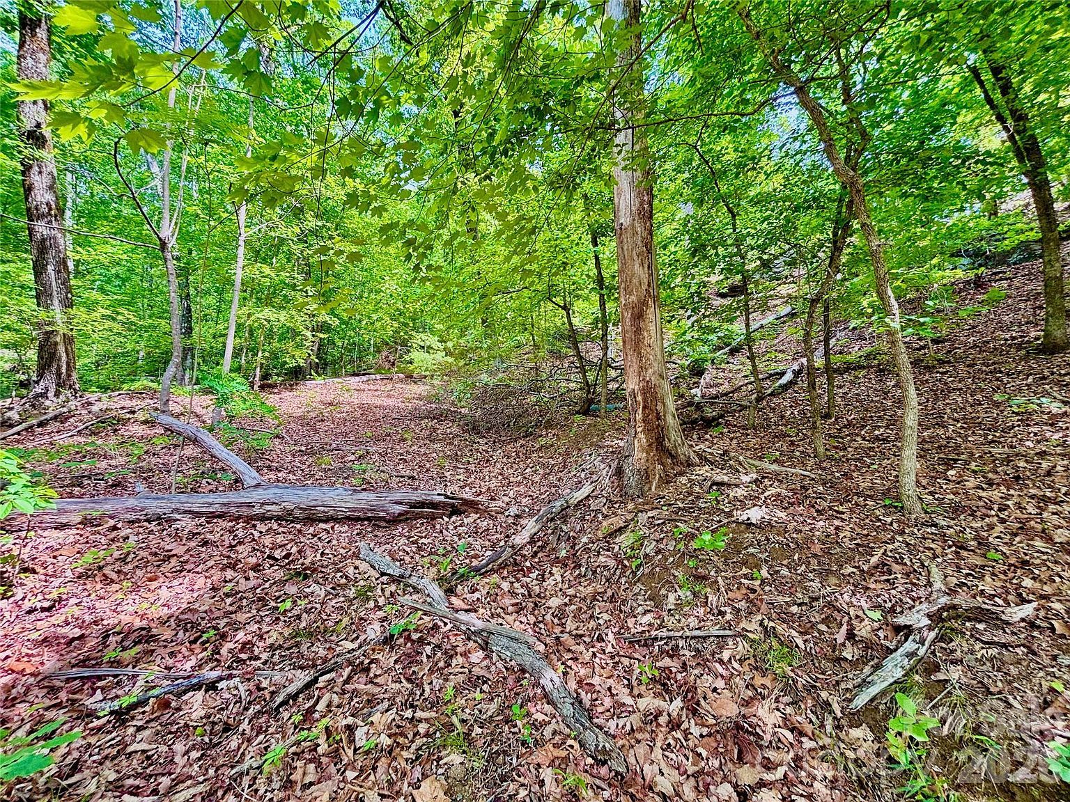 350 Springvalley Dr Union Mills, NC 28167 - Thumbnail 3