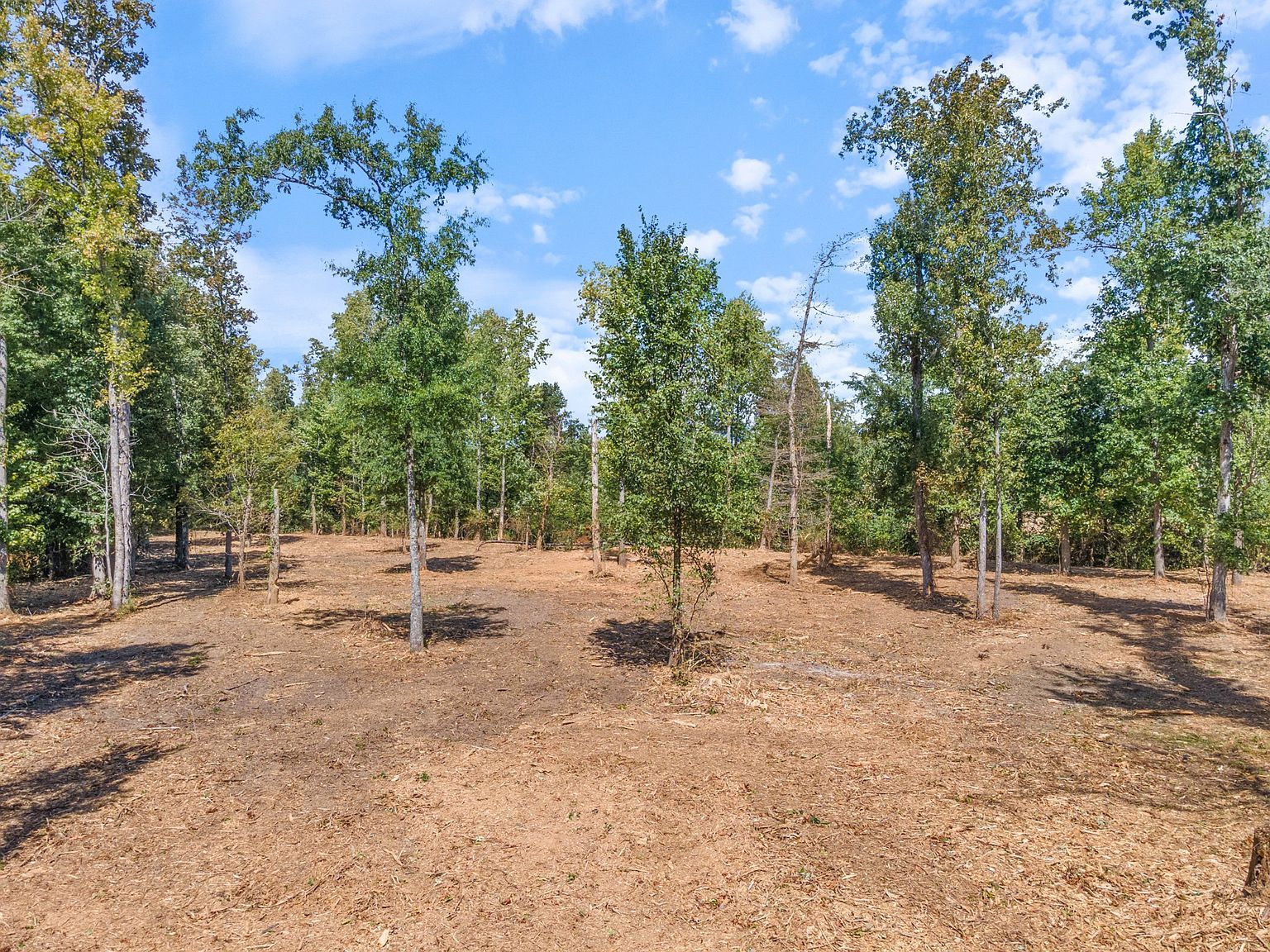 0 Spur Rd Decherd, TN 37324 - Thumbnail 3