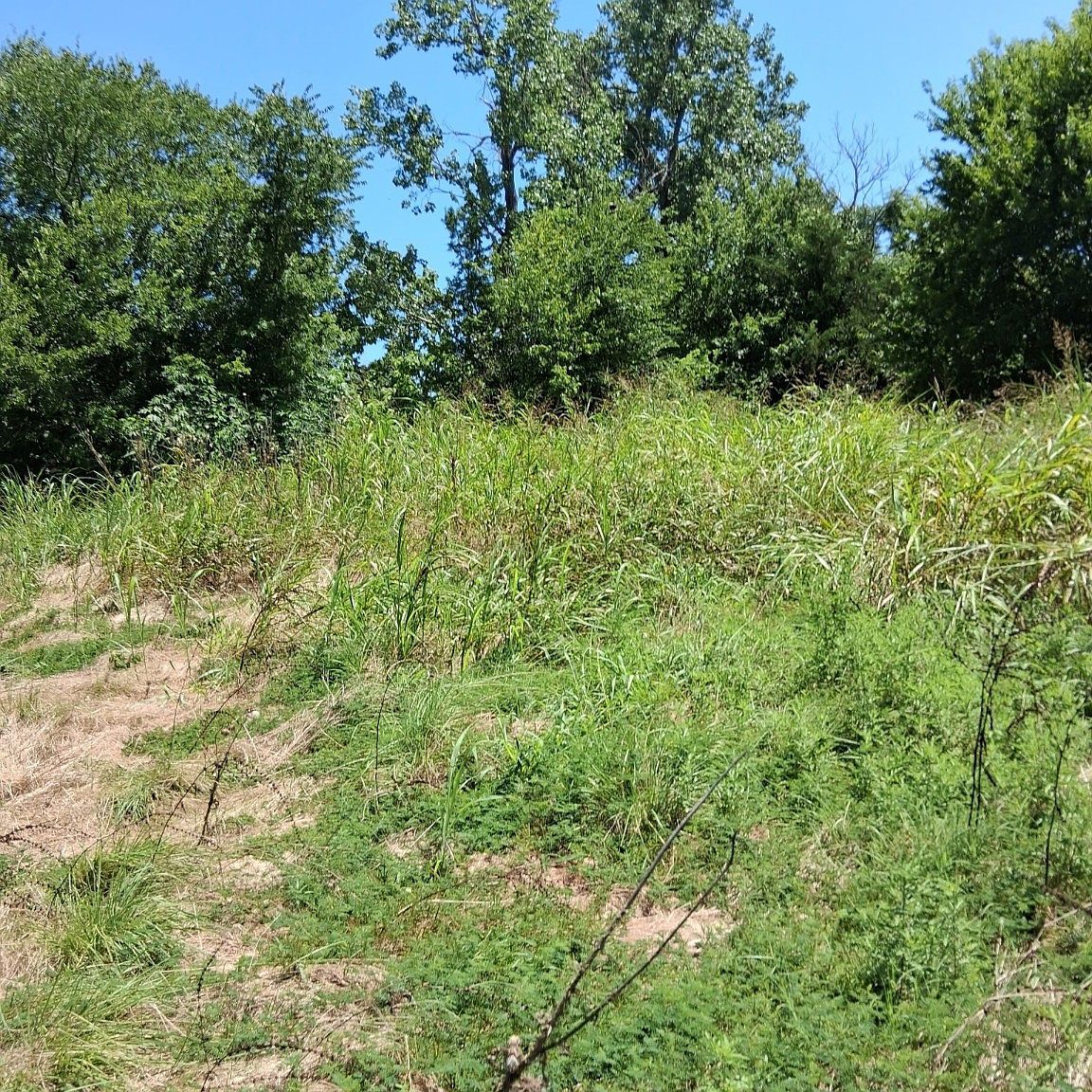 209 Texas Dr Palmer, TX 75152 - Thumbnail 3