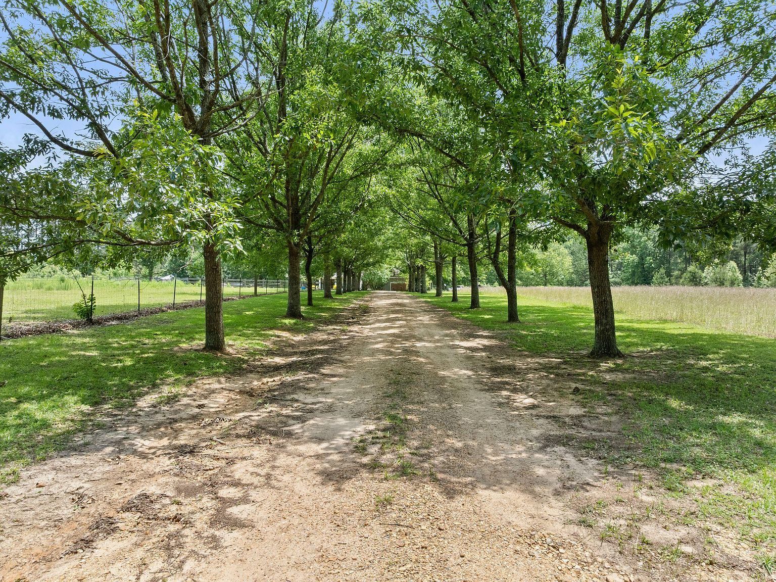 798 Purvis Oloh Rd Purvis, MS 39475 - Thumbnail 3