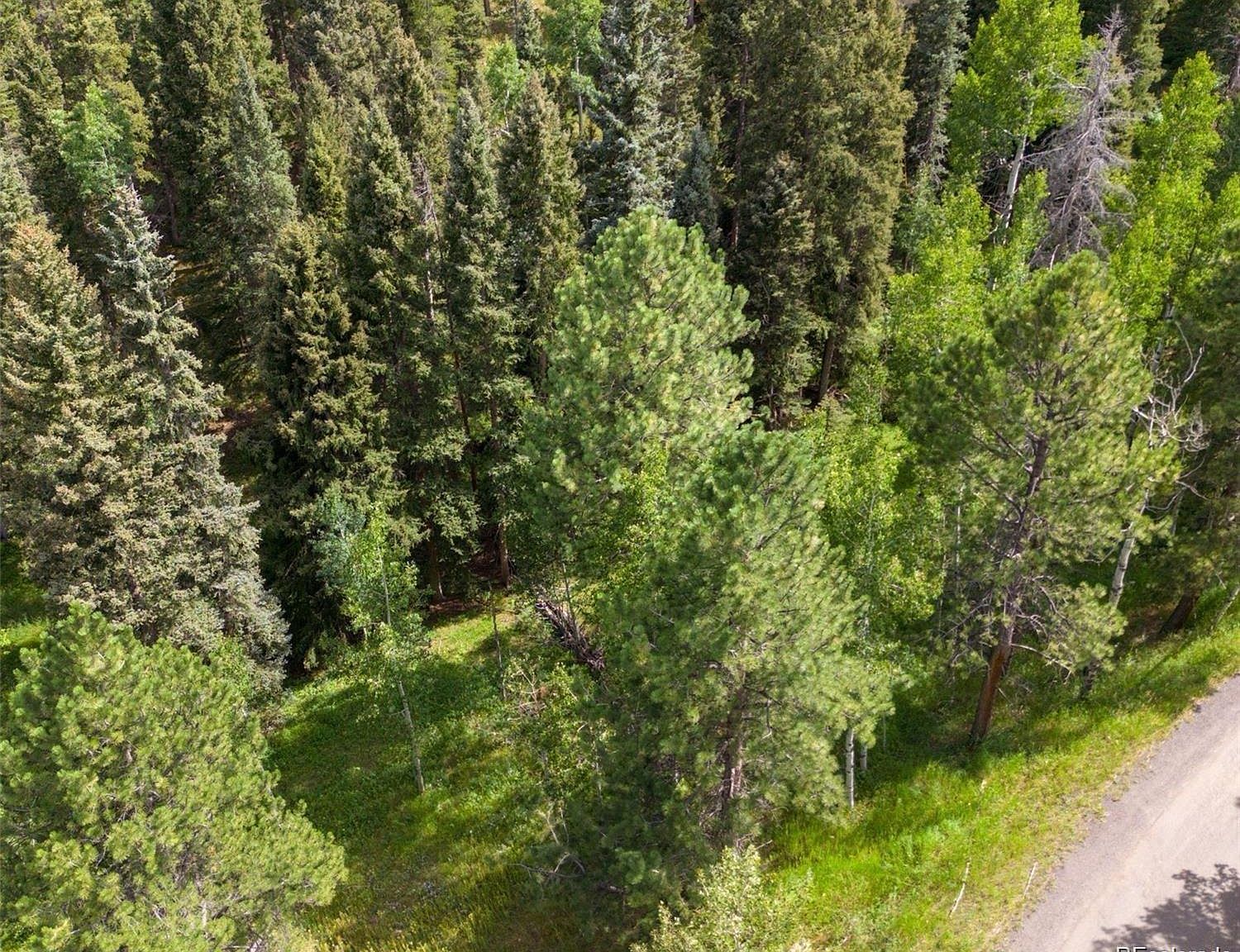 28380 Pine Trl Conifer, CO 80433 - Thumbnail 3