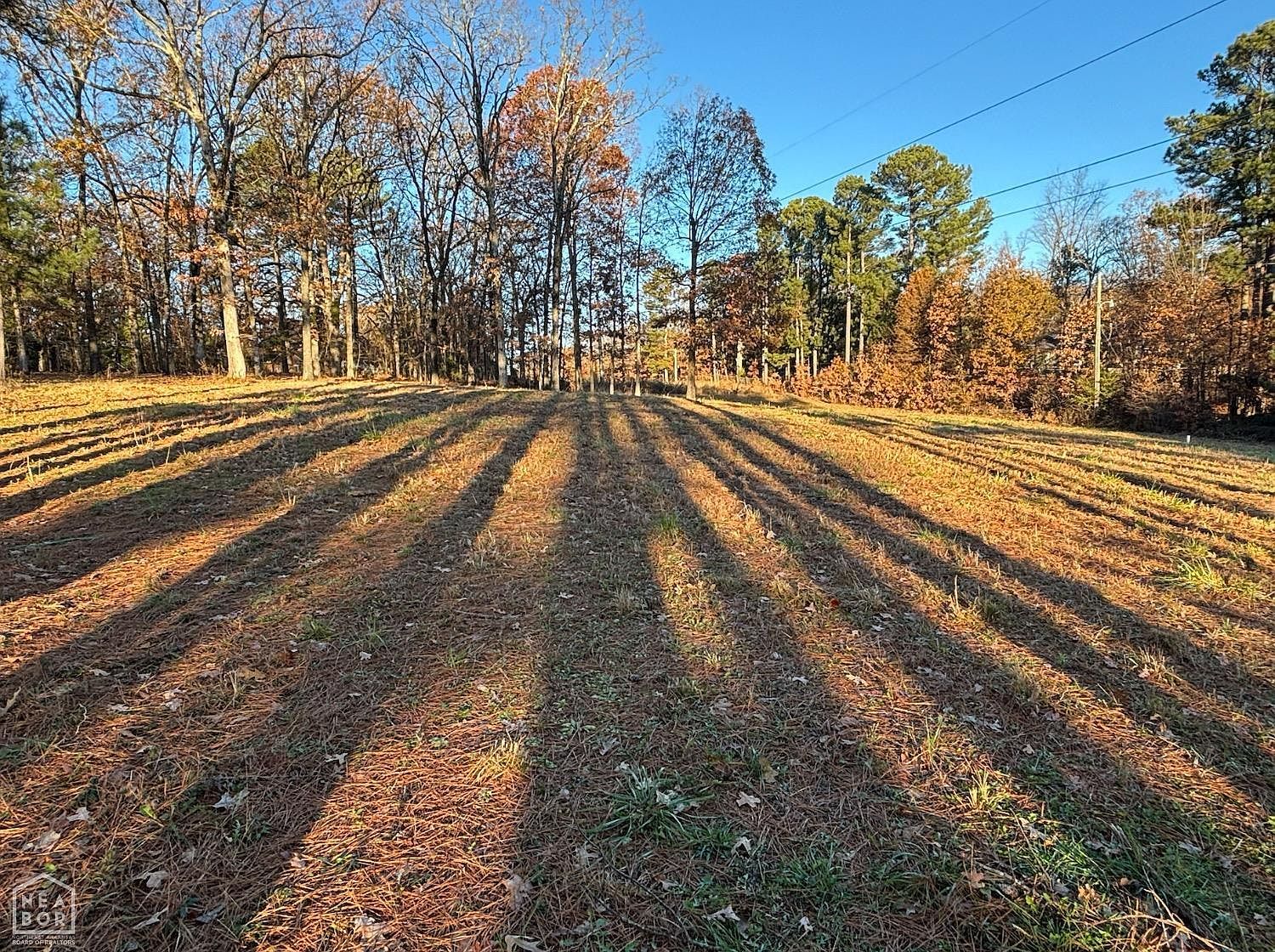 3811 Clay Dr Jonesboro, AR 72404 - Thumbnail 3