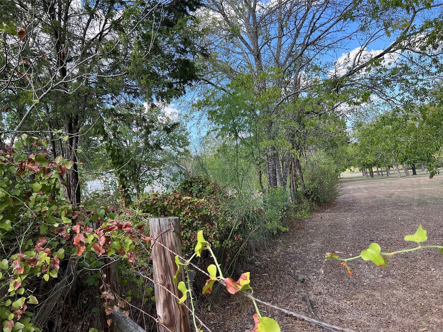 529 Madison St Elgin, TX 78621 - Thumbnail 3