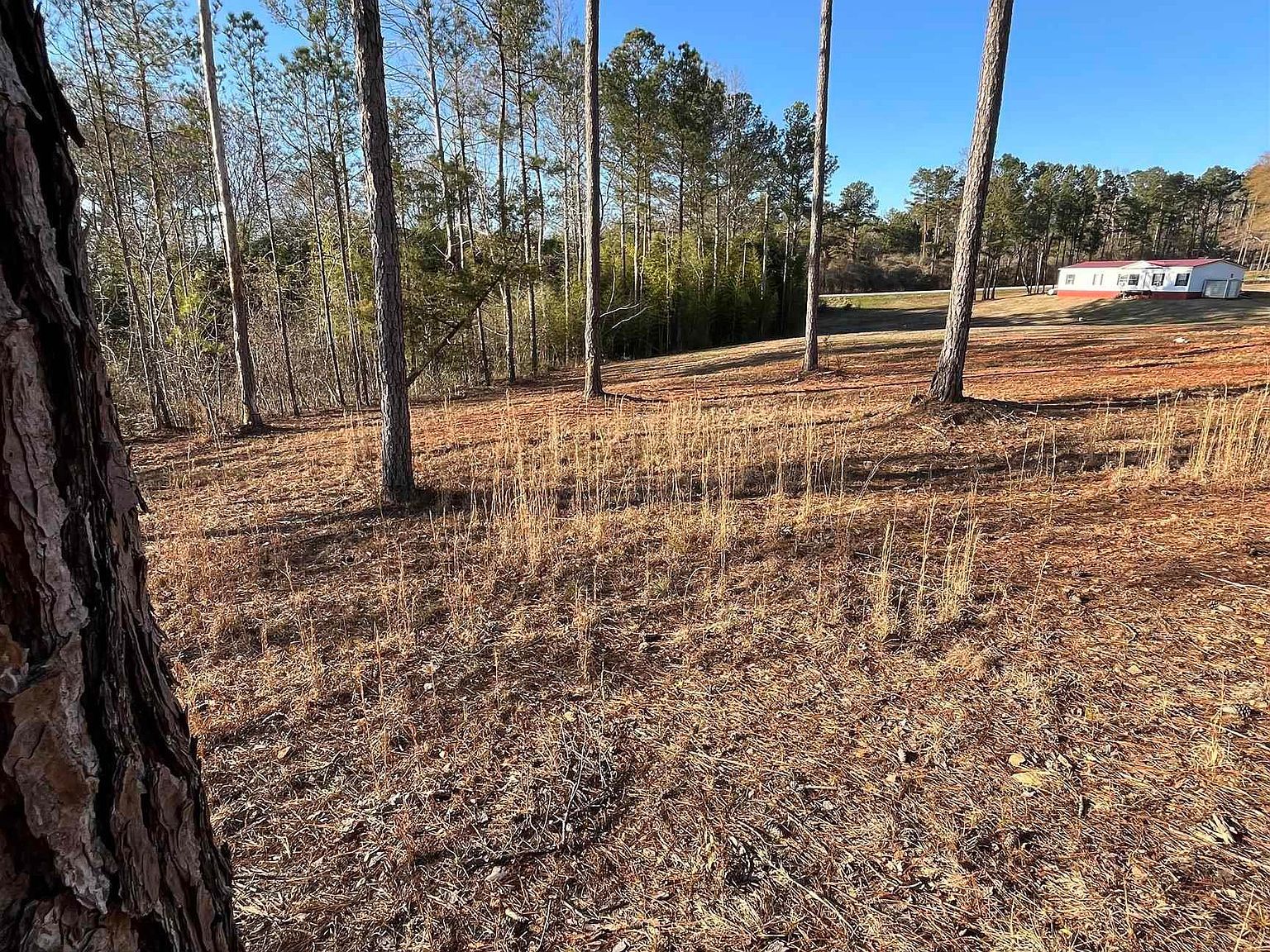 50864 Highway 22 Tract #1 Wadley, AL 36276 - Thumbnail 3