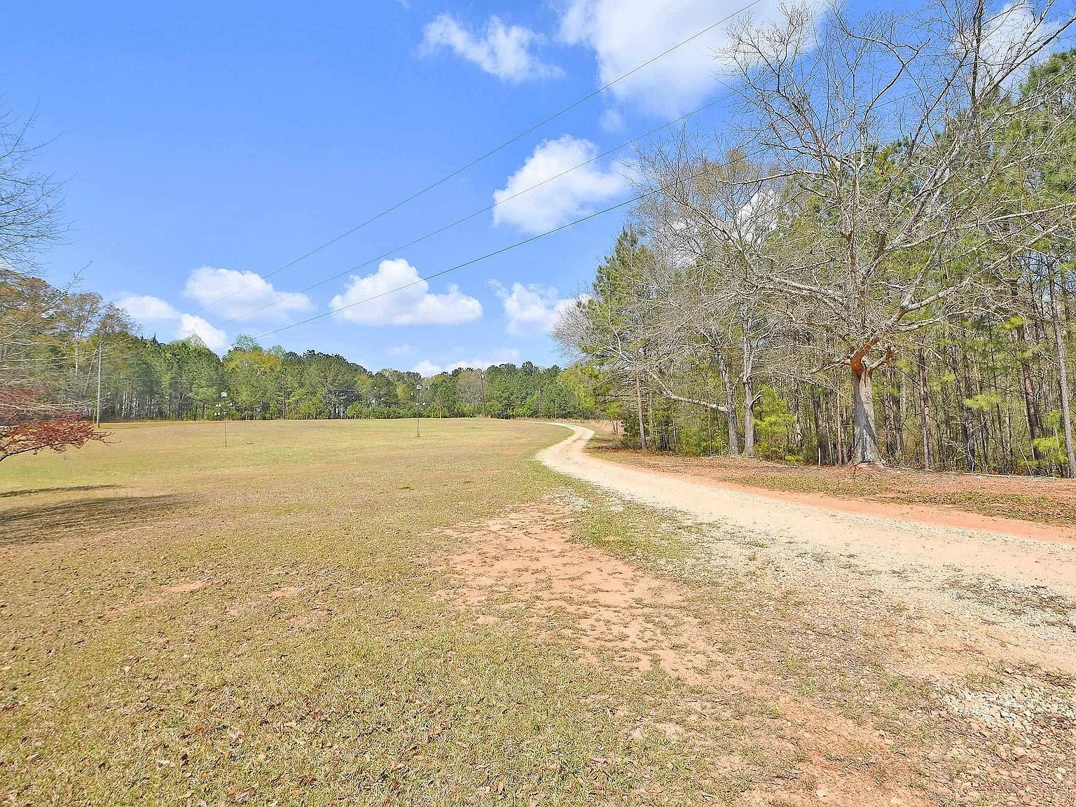 871 County Road 75 Roanoke, AL 36274 - Thumbnail 3