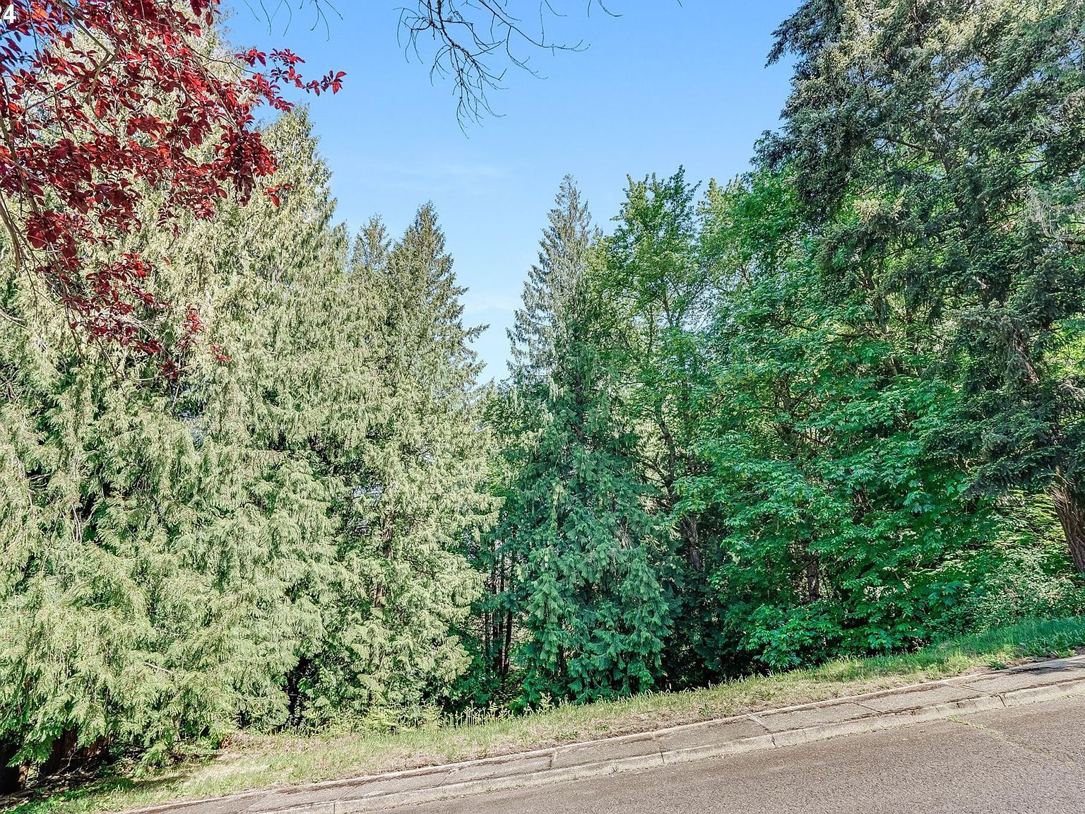 SE Duke St Portland, OR 97236 - Thumbnail 3