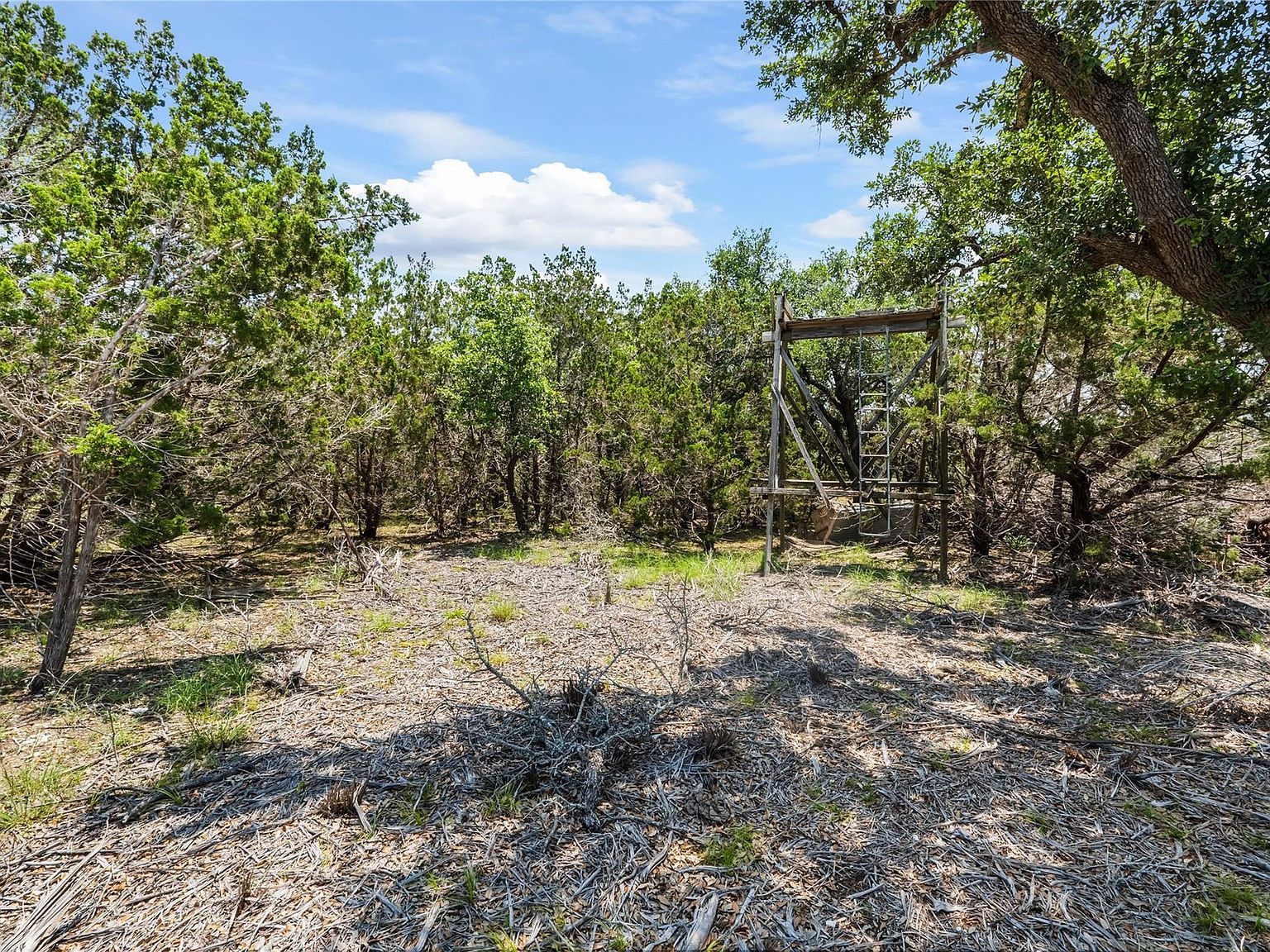 Kestrel Cv Austin, TX 78737 - Thumbnail 3