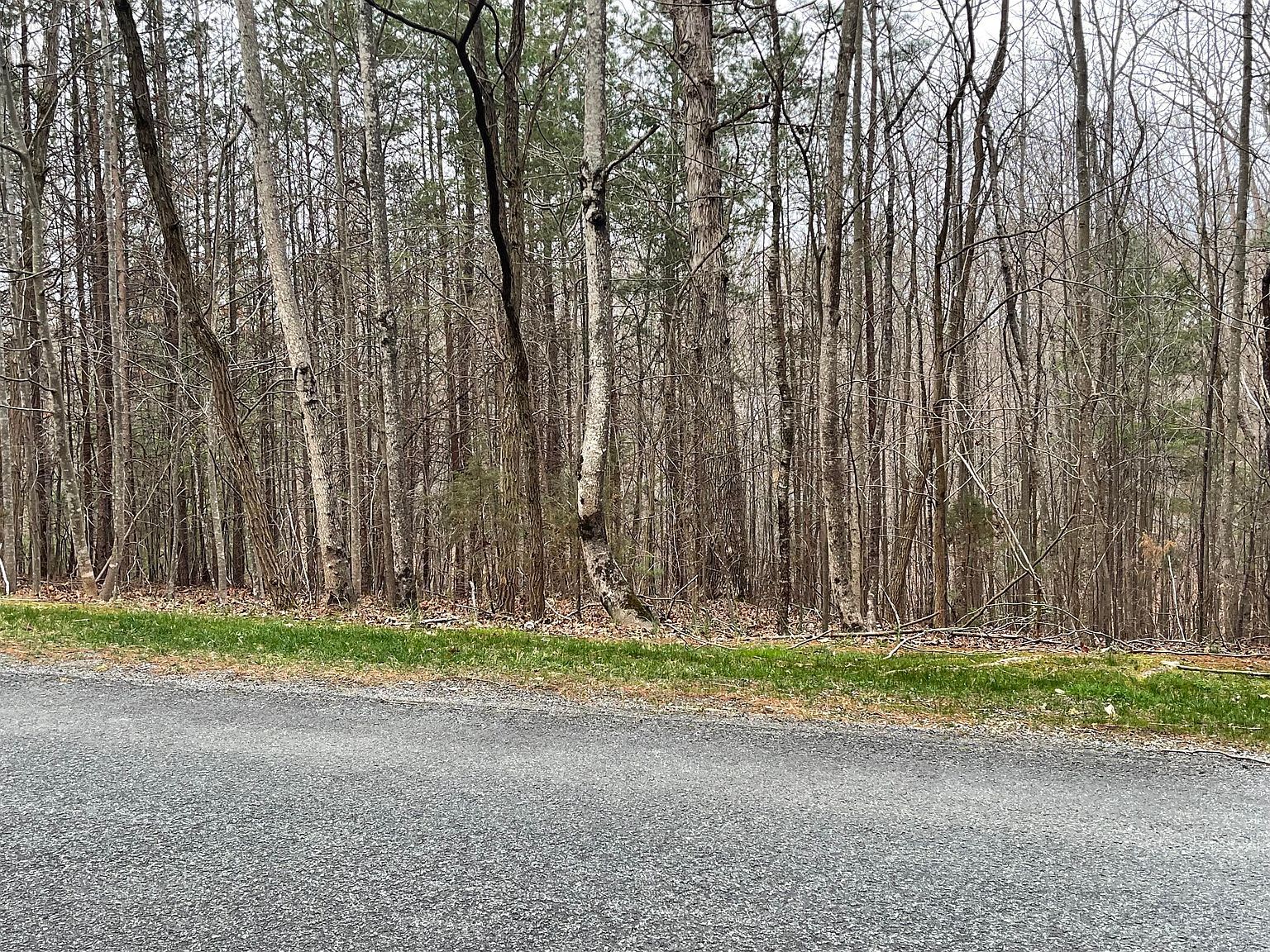 LOT-70A Boxwoodgreen Dr Wirtz, VA 24184 - Thumbnail 3