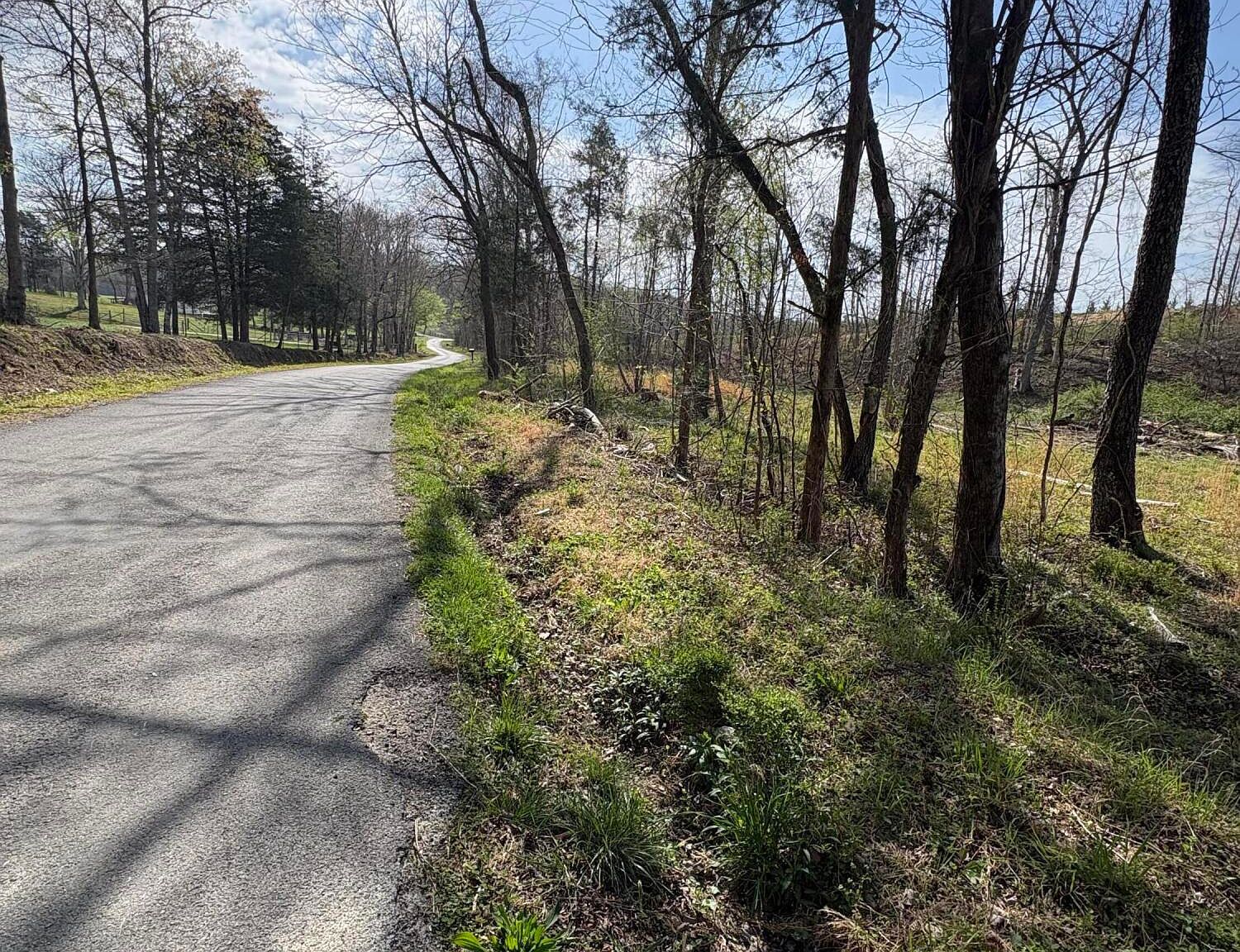 706 Arwine Rd Decatur, TN 37322 - Thumbnail 3