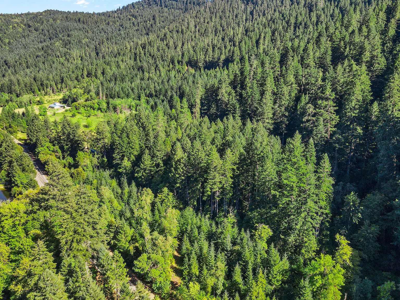 0 Mount Reuben Rd Glendale, OR 97442 - Thumbnail 3