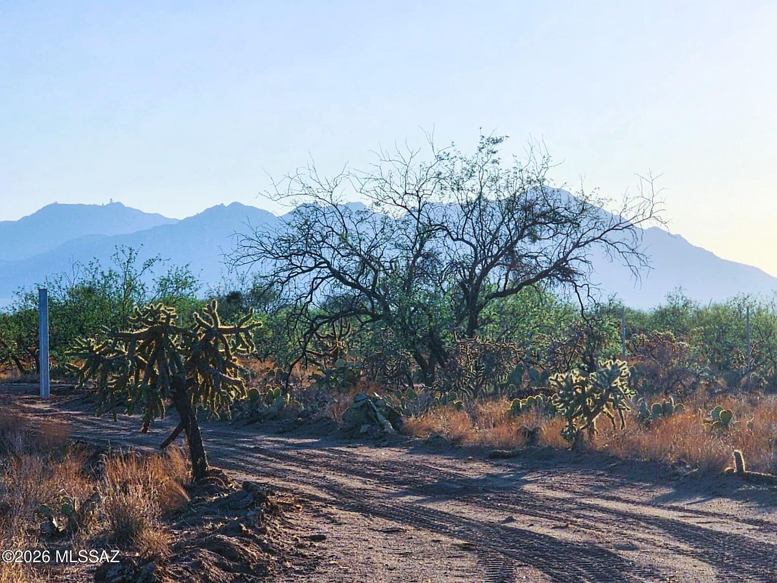 15035 S Muldoon Ave #115 Tucson, AZ 85736 - Thumbnail 3