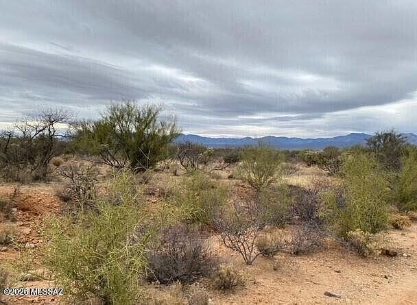 14921 W Pyle Rd #498 Tucson, AZ 85736 - Thumbnail 3