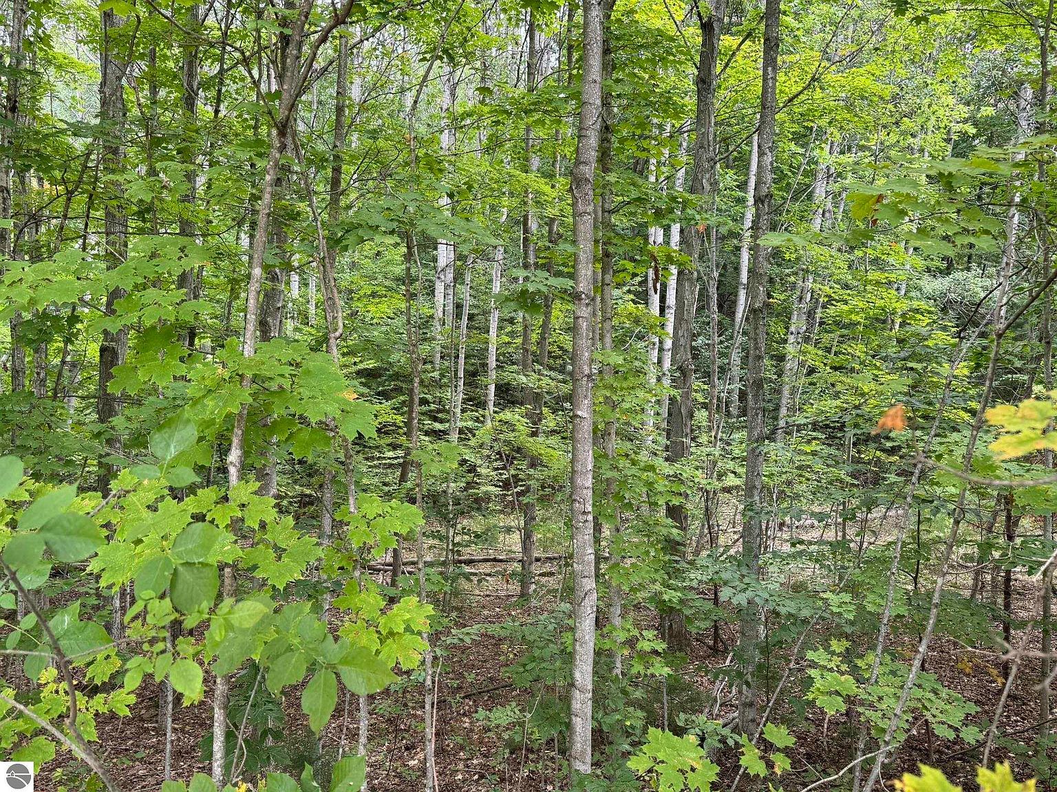 LOT 4 E Old Mountain Rd Cedar, MI 49621 - Thumbnail 3