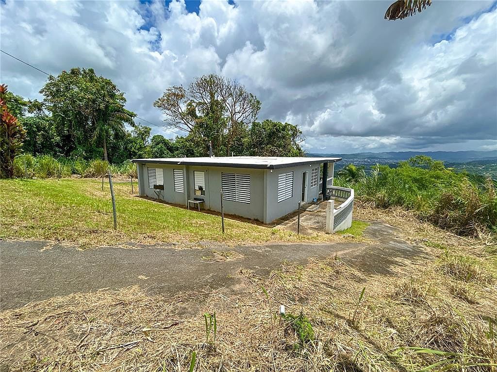 Bo Borinquen Carr #763 Caguas, PR 00725 - Thumbnail 3