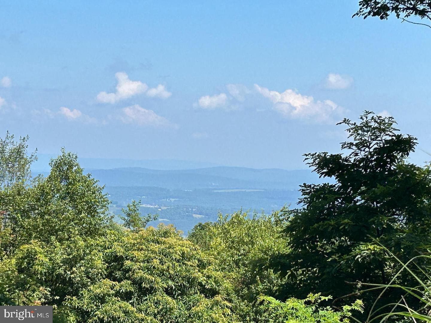 951 Bobcat Trl Winchester, VA 22602 - Thumbnail 3