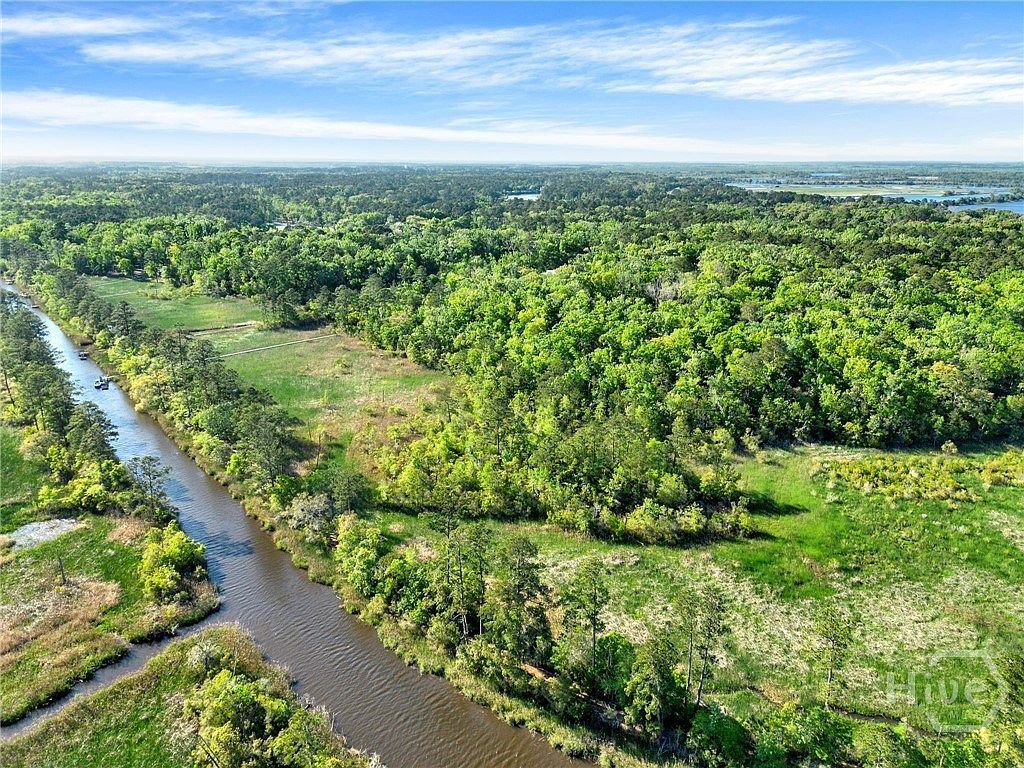 160 Sterling Creek Point Richmond Hill, GA 31324 - Thumbnail 3