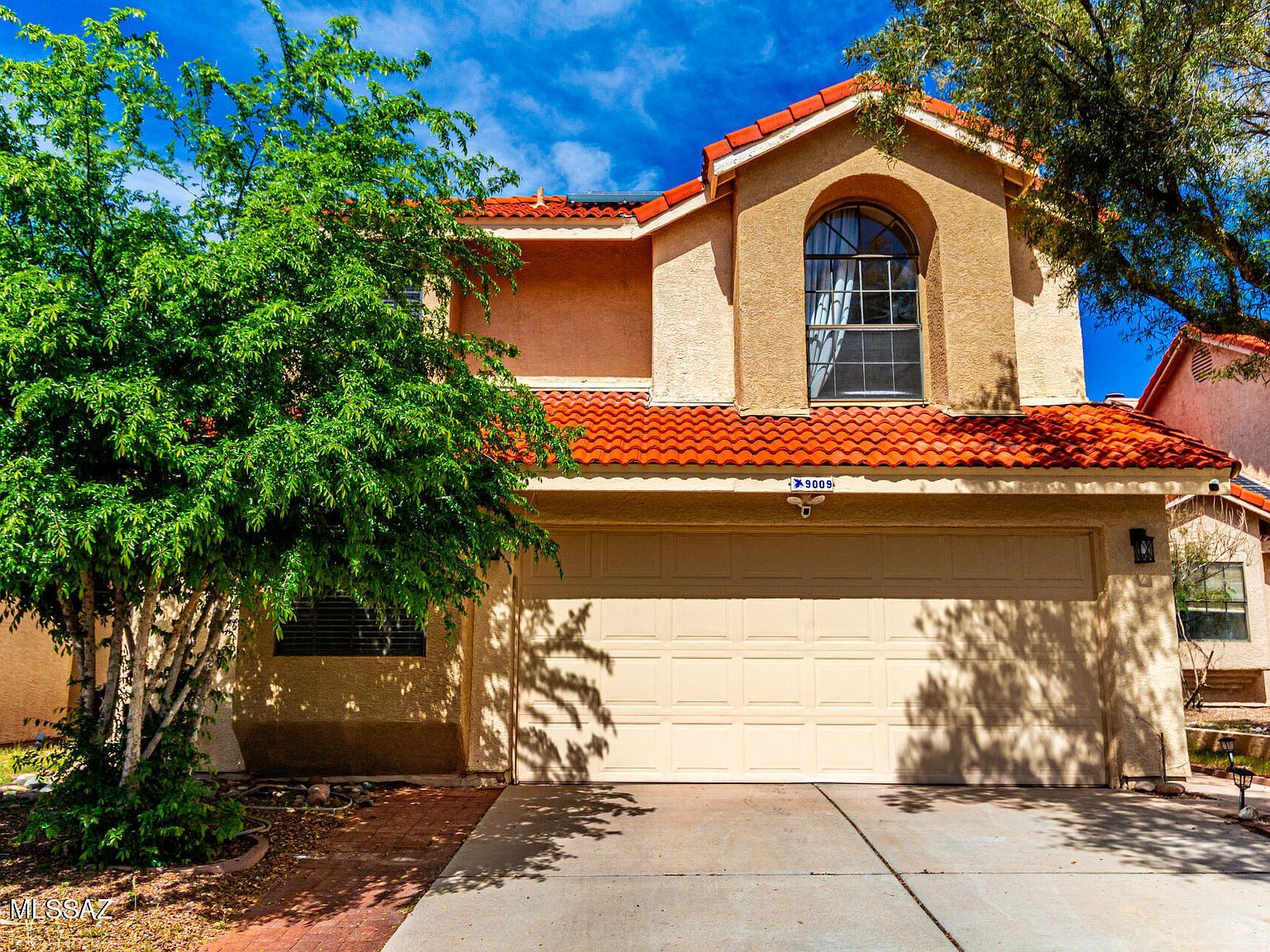 9009 N Twain St Tucson, AZ 85742 - Thumbnail 3