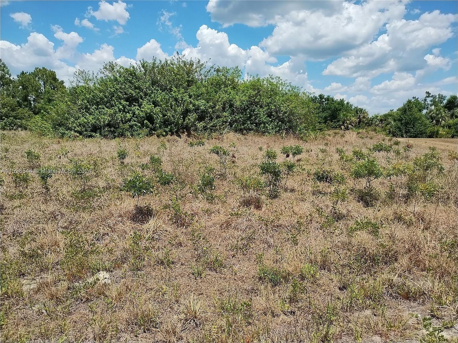 0 Casco Ct North Pt, FL 34288 - Thumbnail 3