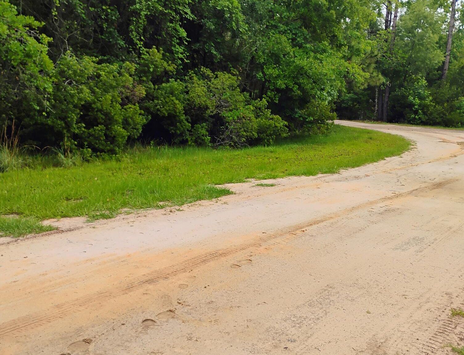 228 Atkins Rd Georgetown, FL 32139 - Thumbnail 3