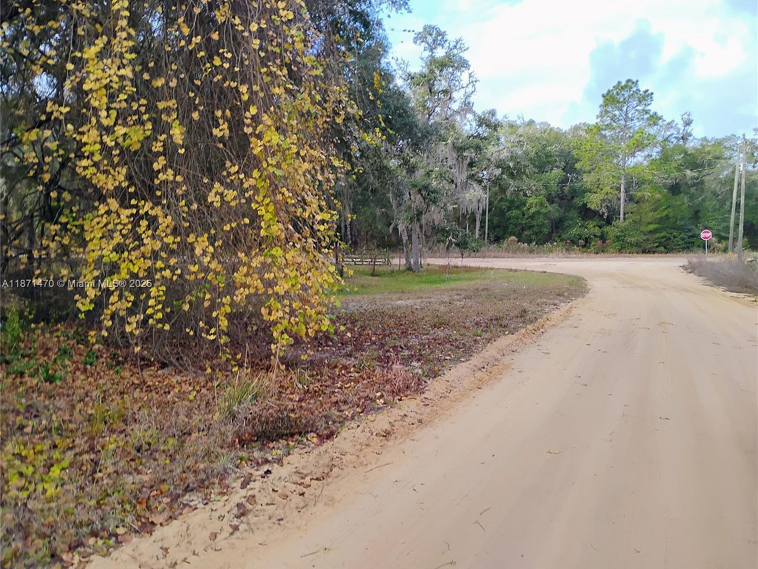 103 Antler Rd Interlachen, FL 32148 - Thumbnail 3