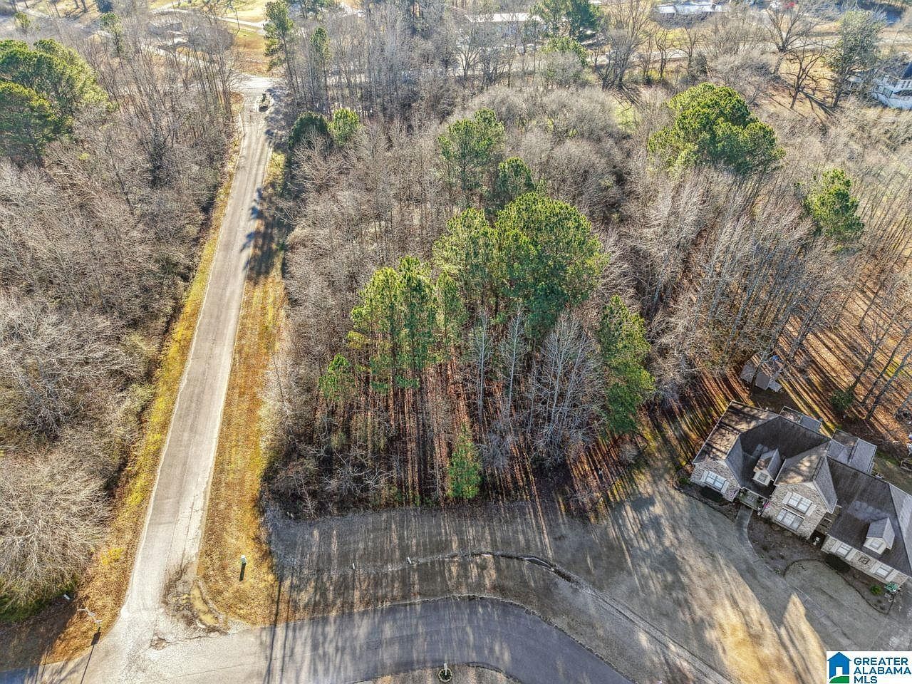 0 Branch Cv #25 Odenville, AL 35120 - Thumbnail 3