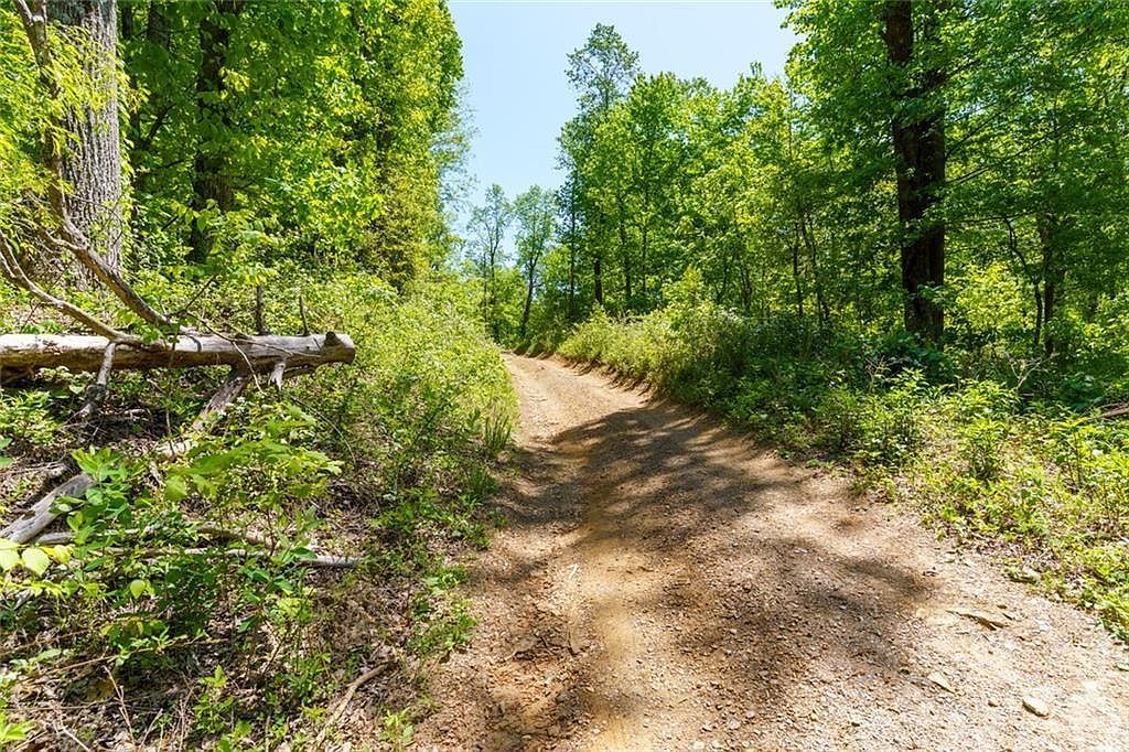 0 Fire Tower Rd Lot 7 Jasper, GA 30143 - Thumbnail 3