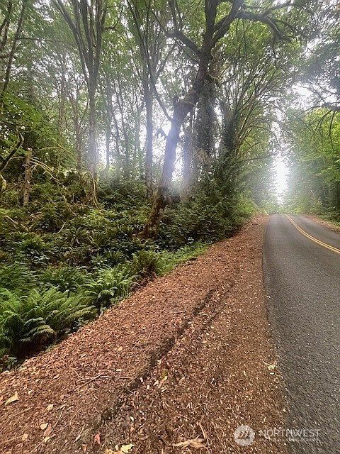 14802 Delano Rd SW Lakebay, WA 98349 - Thumbnail 3