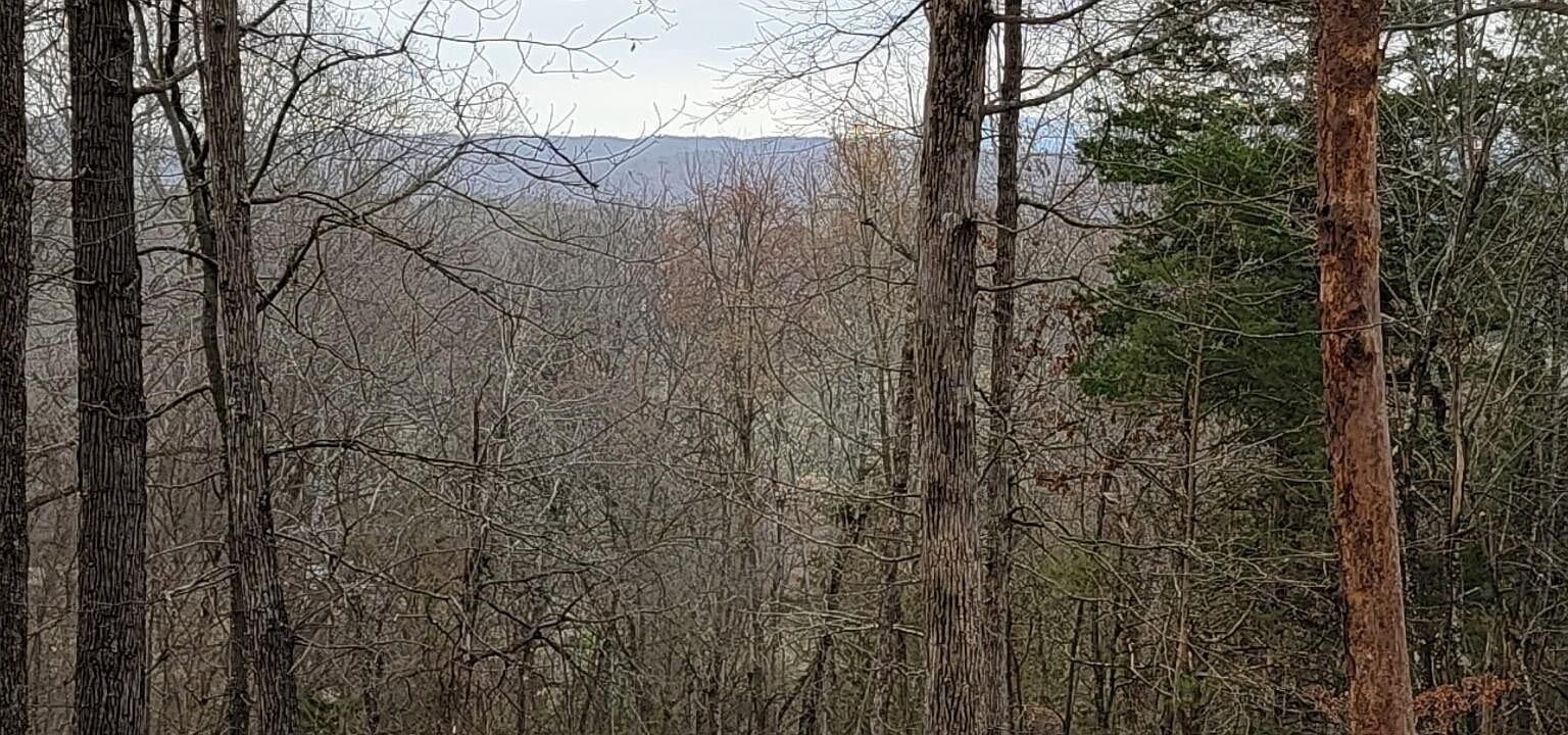 3278 Hillside Pl White Pine, TN 37890 - Thumbnail 3