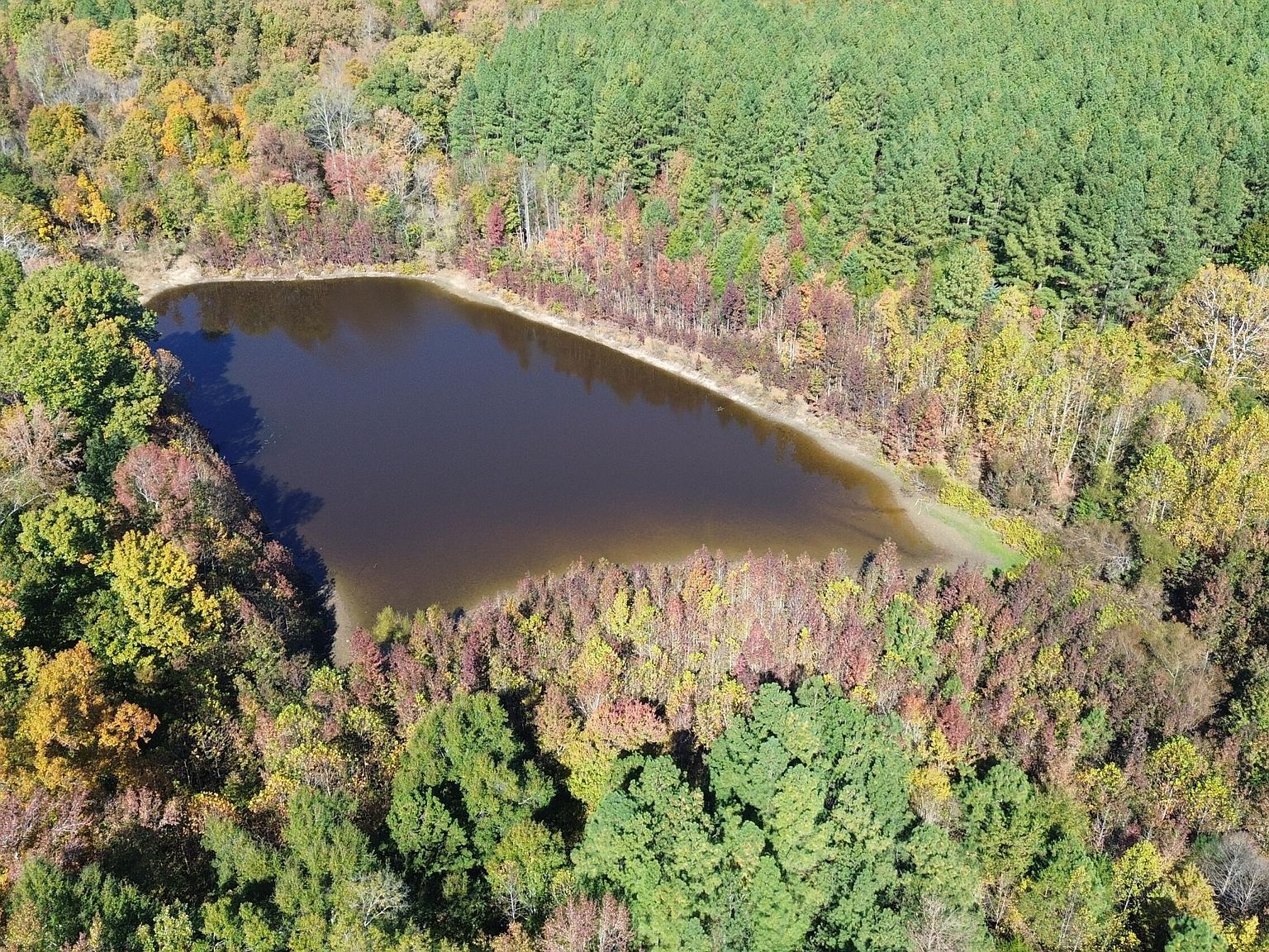 8100 Stage Coach Rd Nathalie, VA 24577 - Thumbnail 3